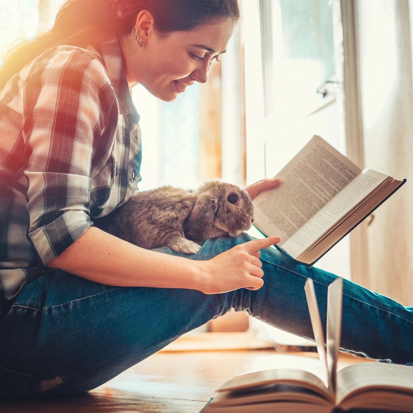 Neue Bücher von von Birgit Birnbacher, Elizabeth Strout und Jacqueline Harpman