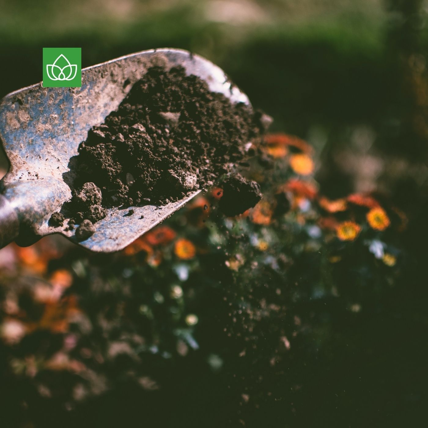 Neue Gartenformen: diverser und durchlässiger
