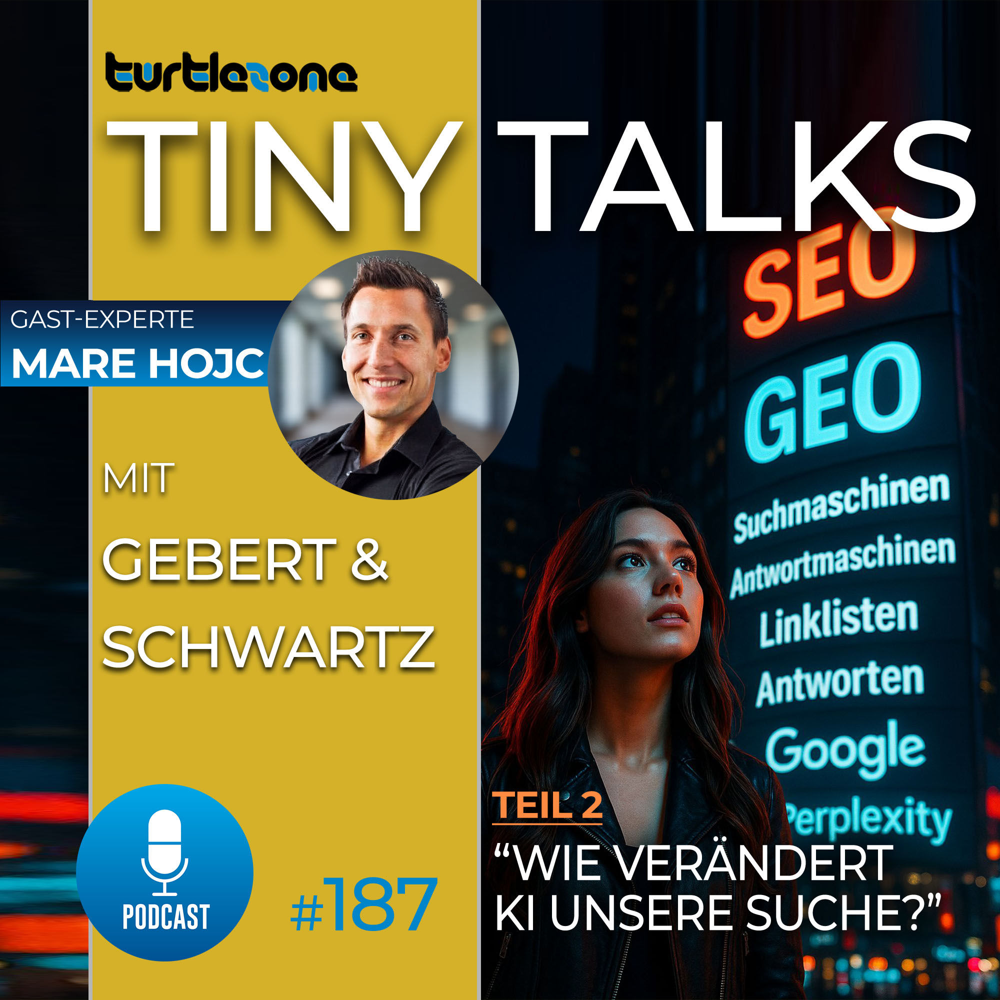 Neue Turtlezone Tiny Talks - Wie verändert KI unsere Suche? (Teil 2)