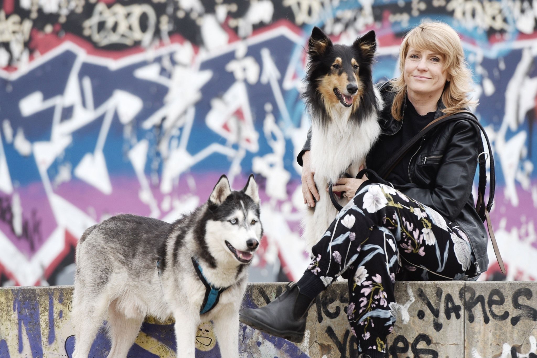 Neues Projekt "Hilfe, mein Hund…" startet!