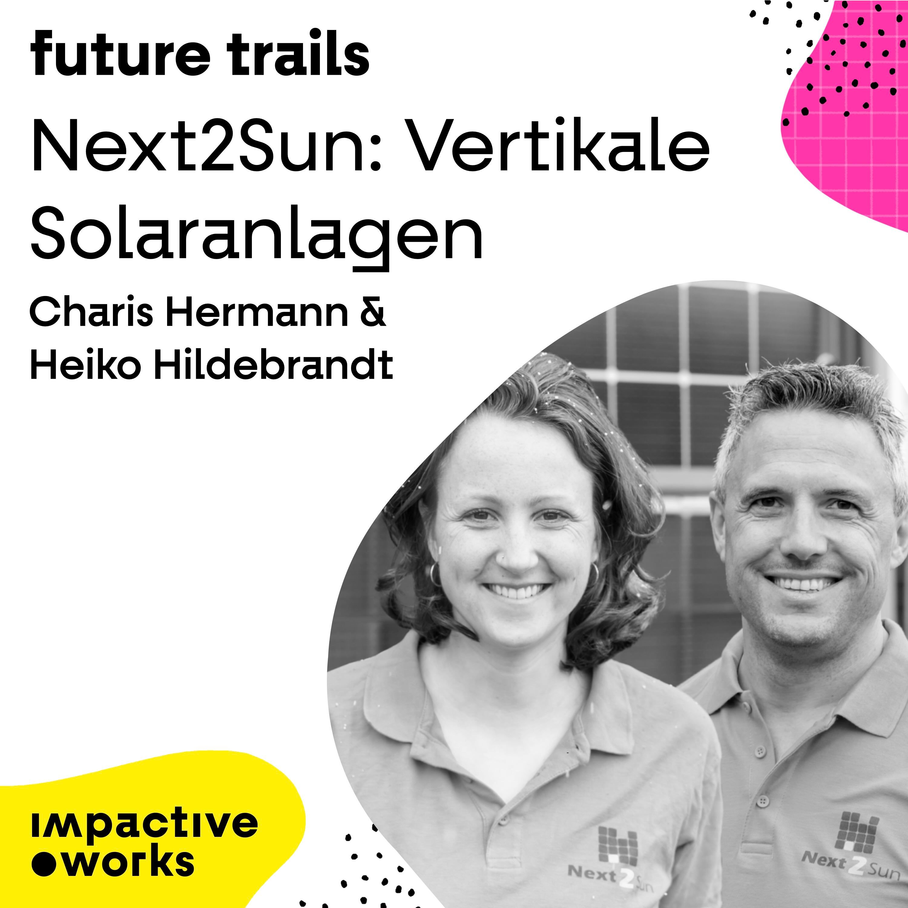 Next2Sun: Vertikale Solaranlagen
