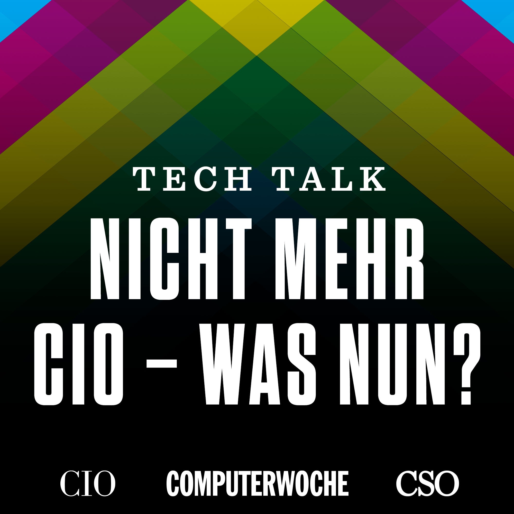 Nicht mehr CIO, was nun? - mit Prof. Dr. Andreas Meyer-Falcke