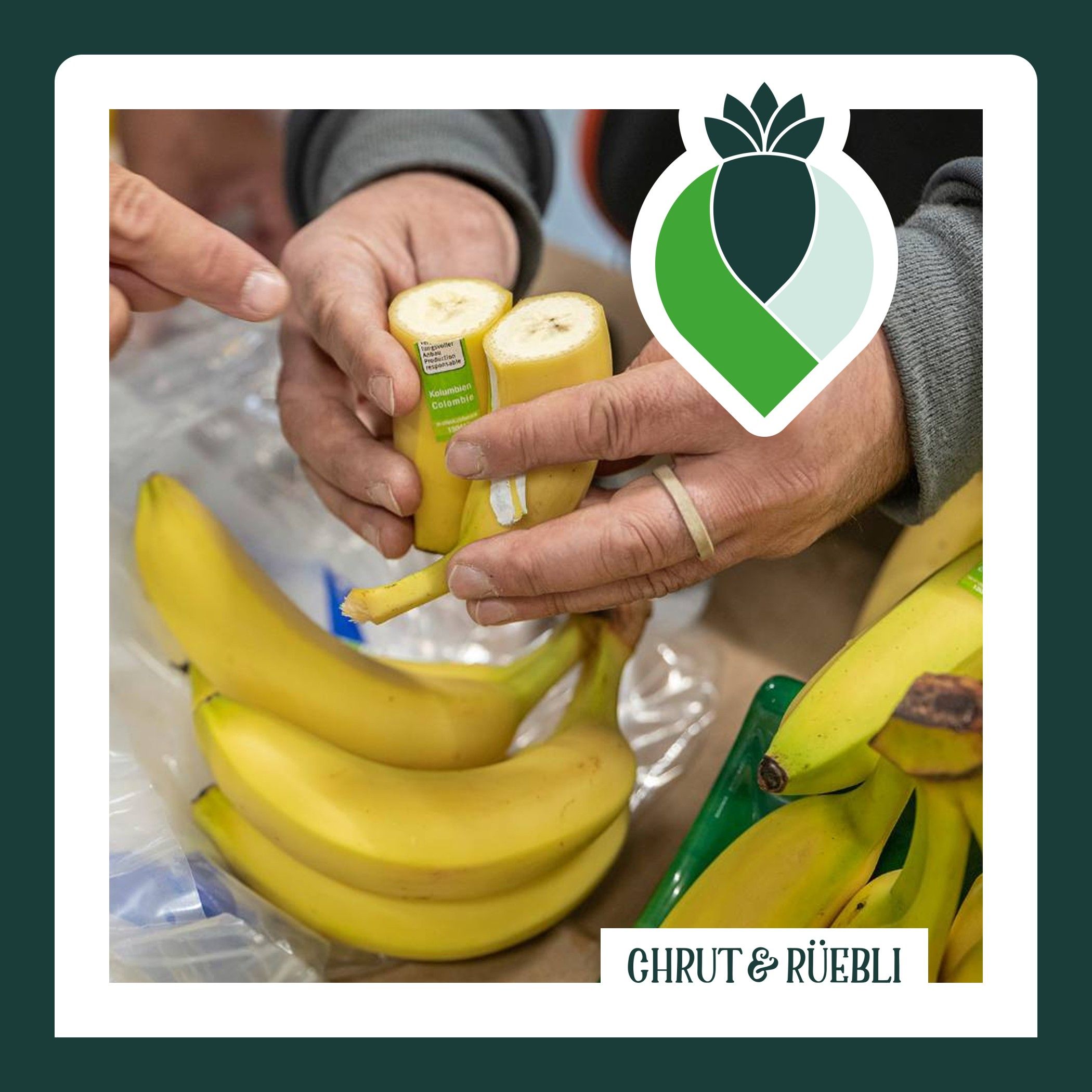 Nichts krumm mit diesen Bananen