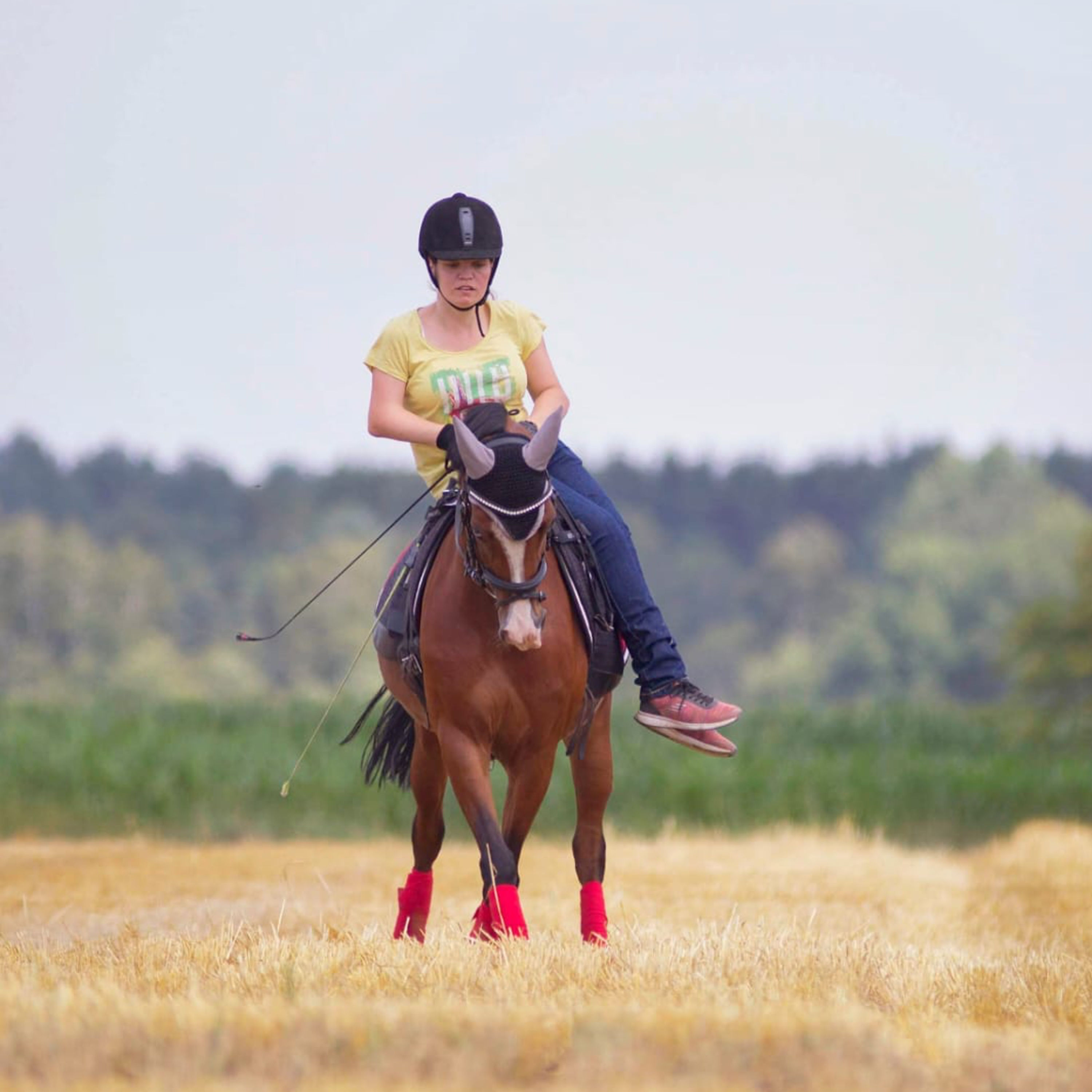 Nicole: Reiten als Therapie