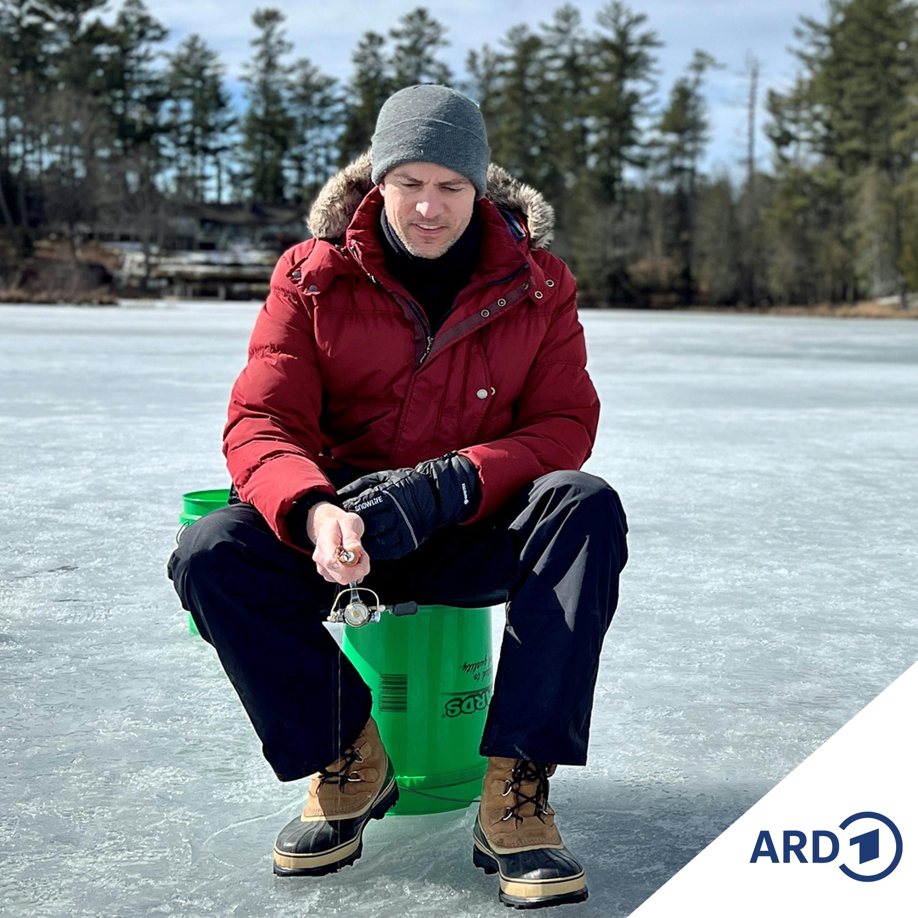 (No) Country for Old Men