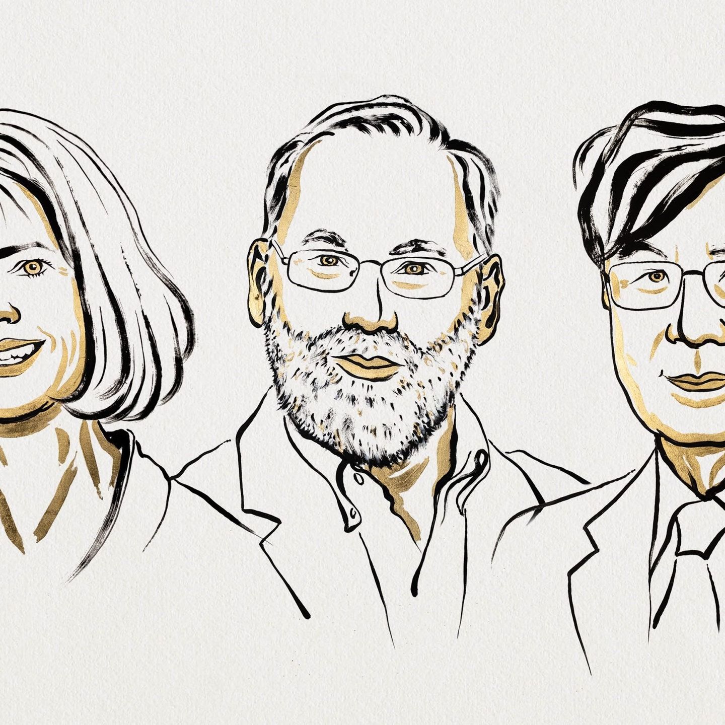 Nobelpreis für Medizin: Wie unser Immunsystem reguliert wird