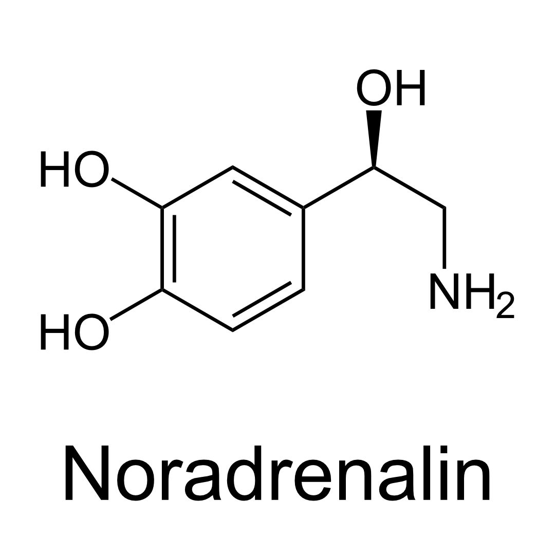 Noradrenalin
