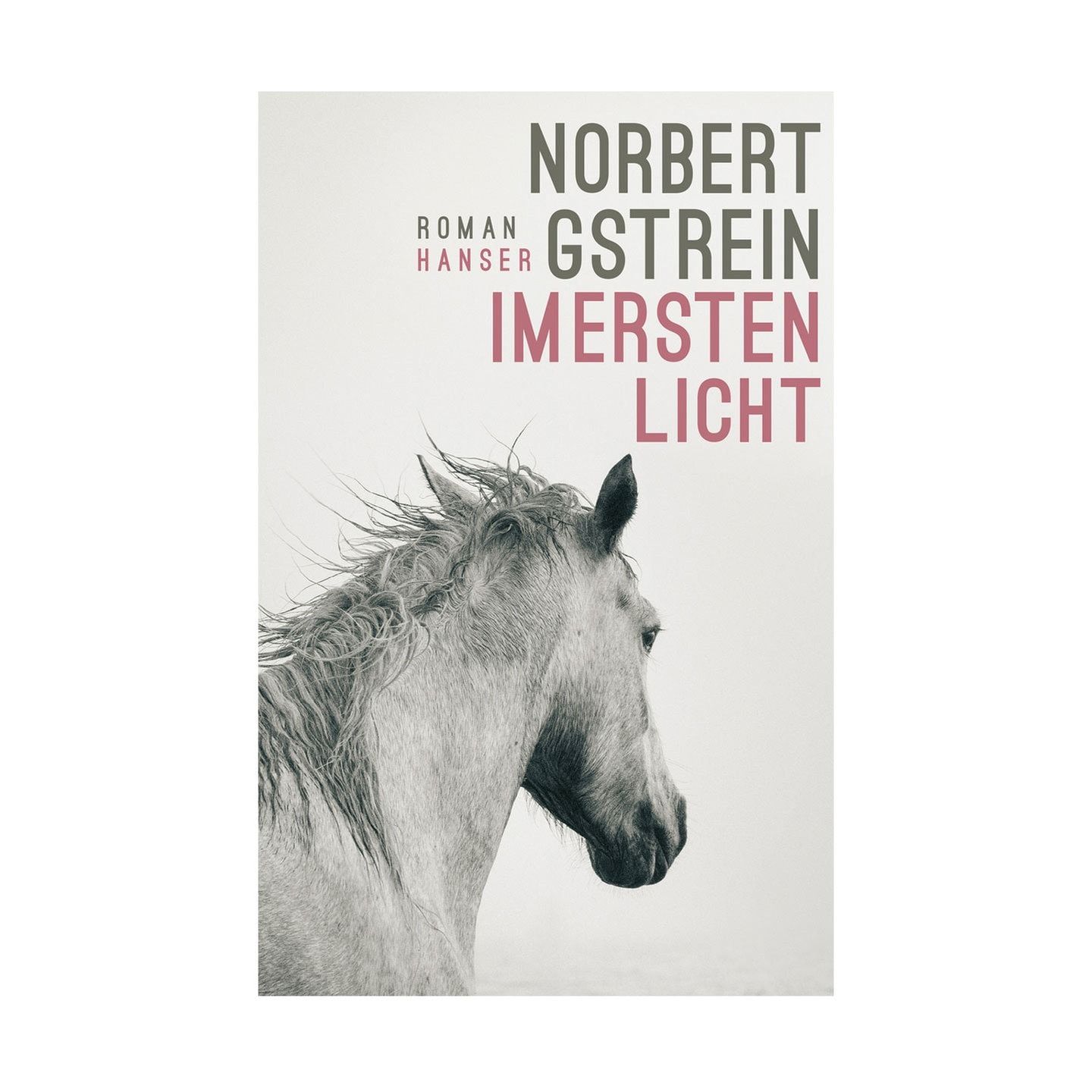 Norbert Gstrein: „Im ersten Licht“