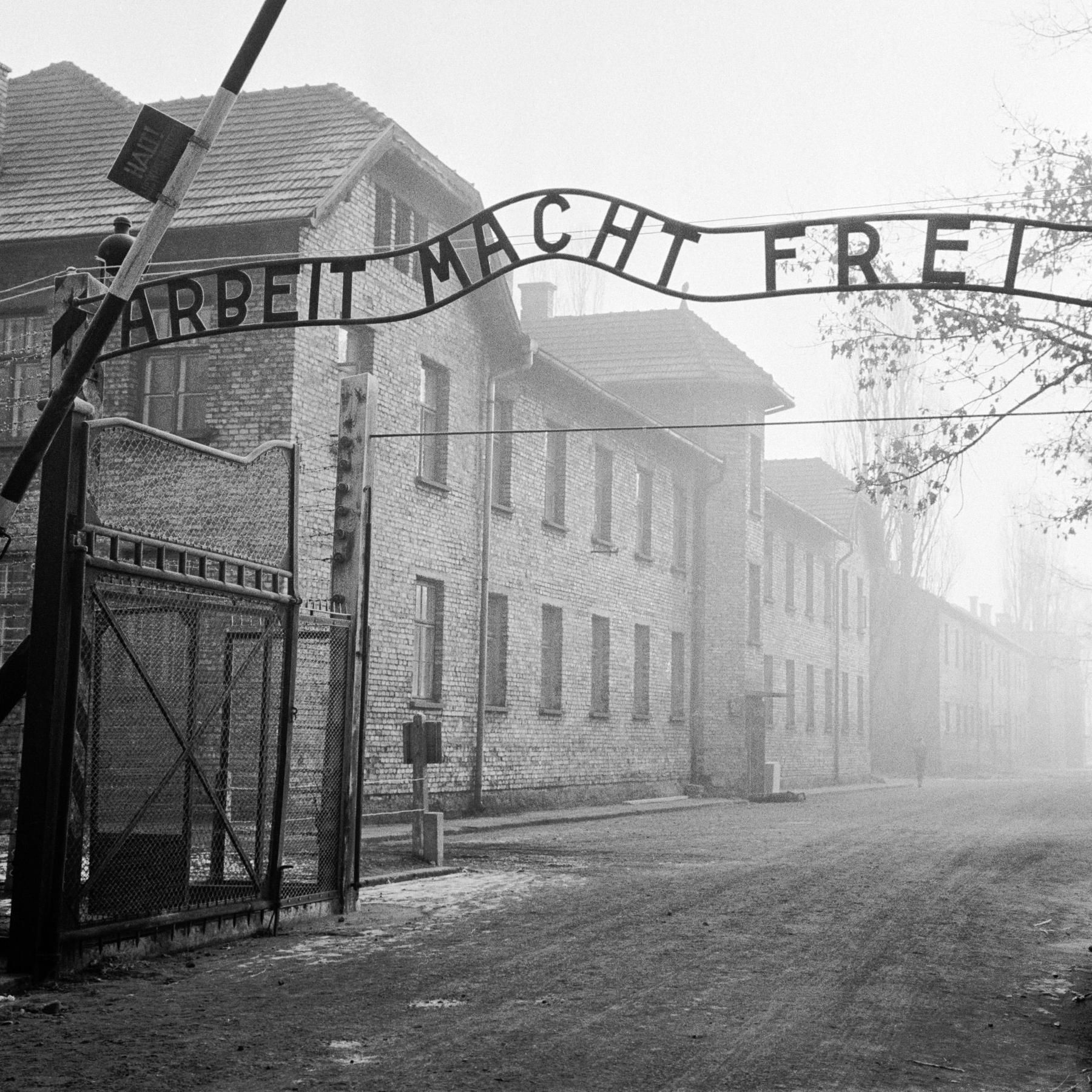 NS-TERROR - Eingeschleust nach Auschwitz