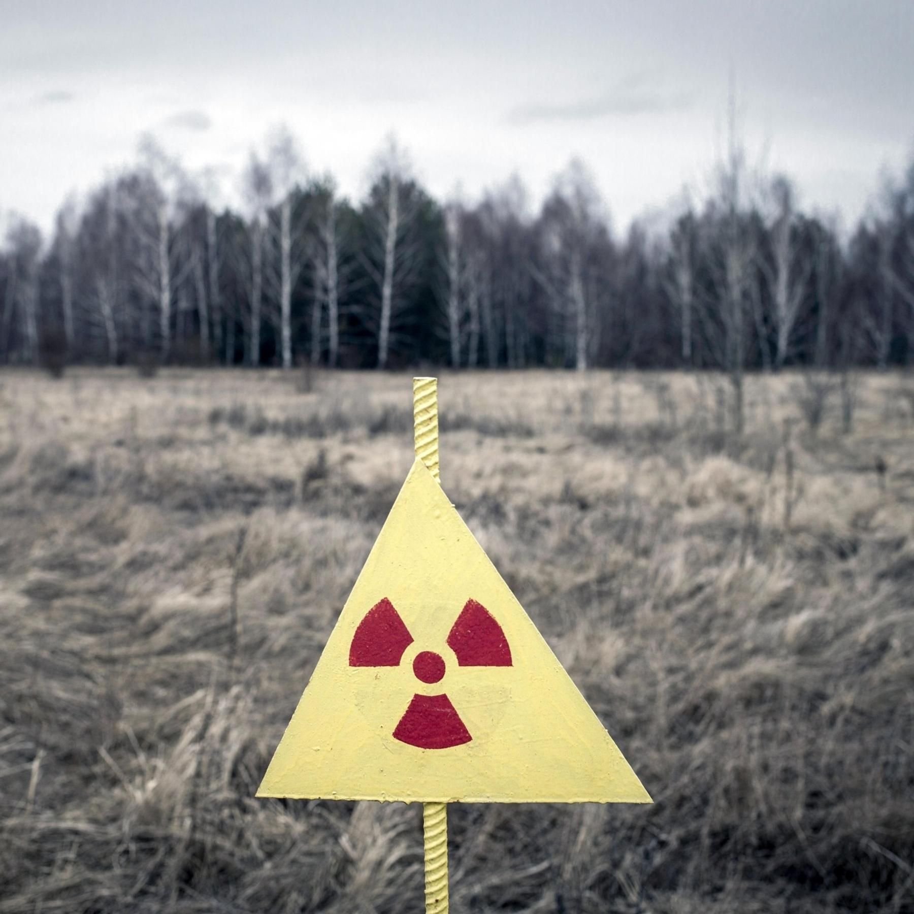 Nukleare Katastrophen - Was hat man daraus gelernt?