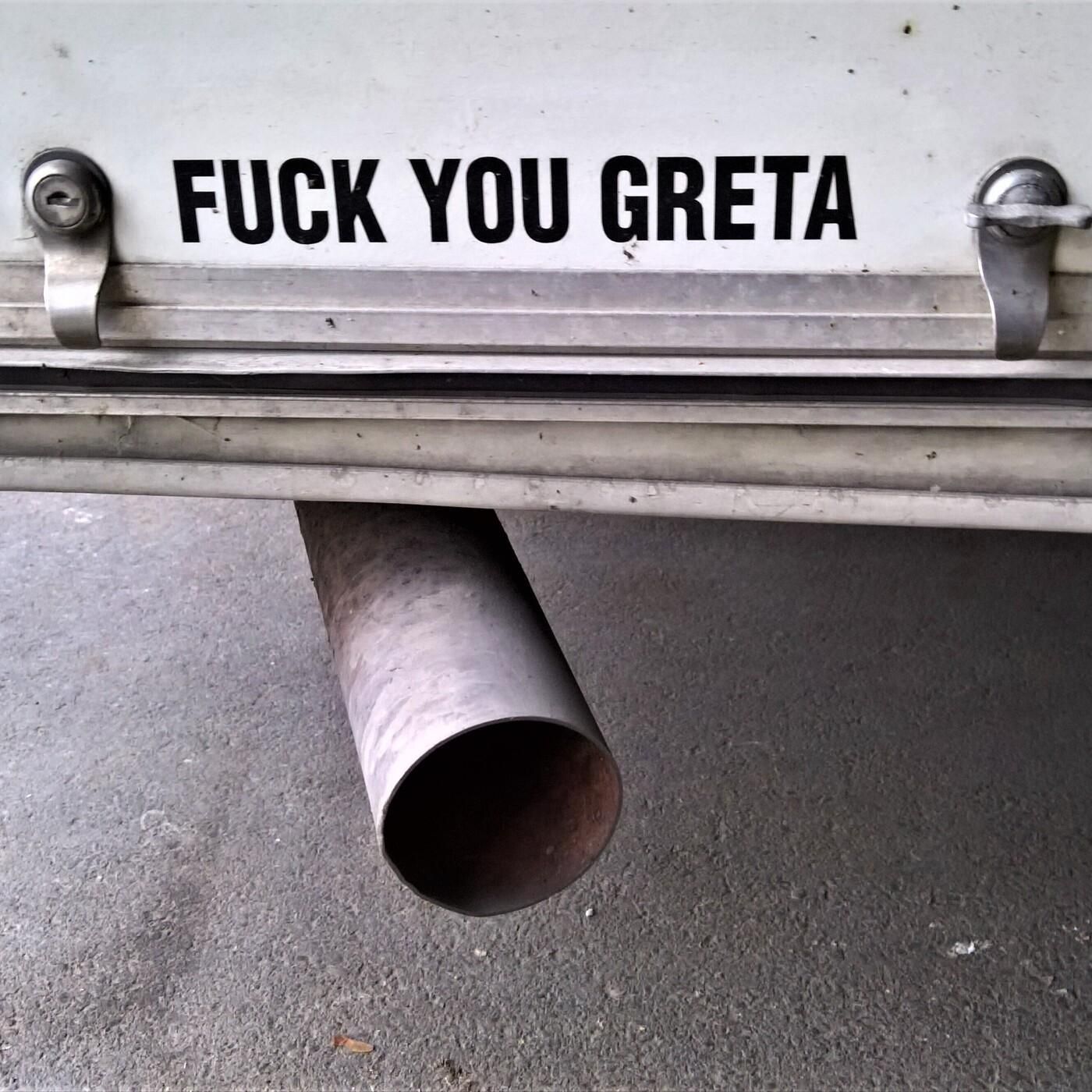 Null Bock auf Klimaschutz? "E-Mobilität ist für viele ein Elitenprodukt für Komfort-Ökologen" - Silke Borgstedt (Sinus-Institut)