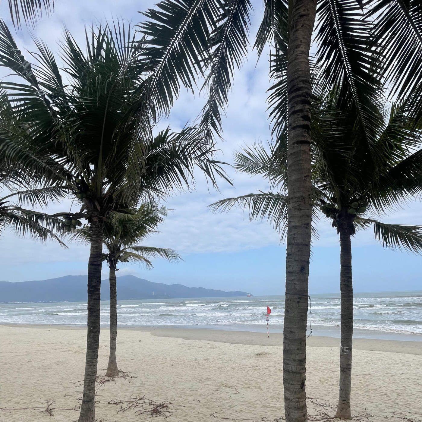 (ohne Musik) So, 15.02. Entspannt einschlafen - Sanftes Rauschen, weiter Horizont