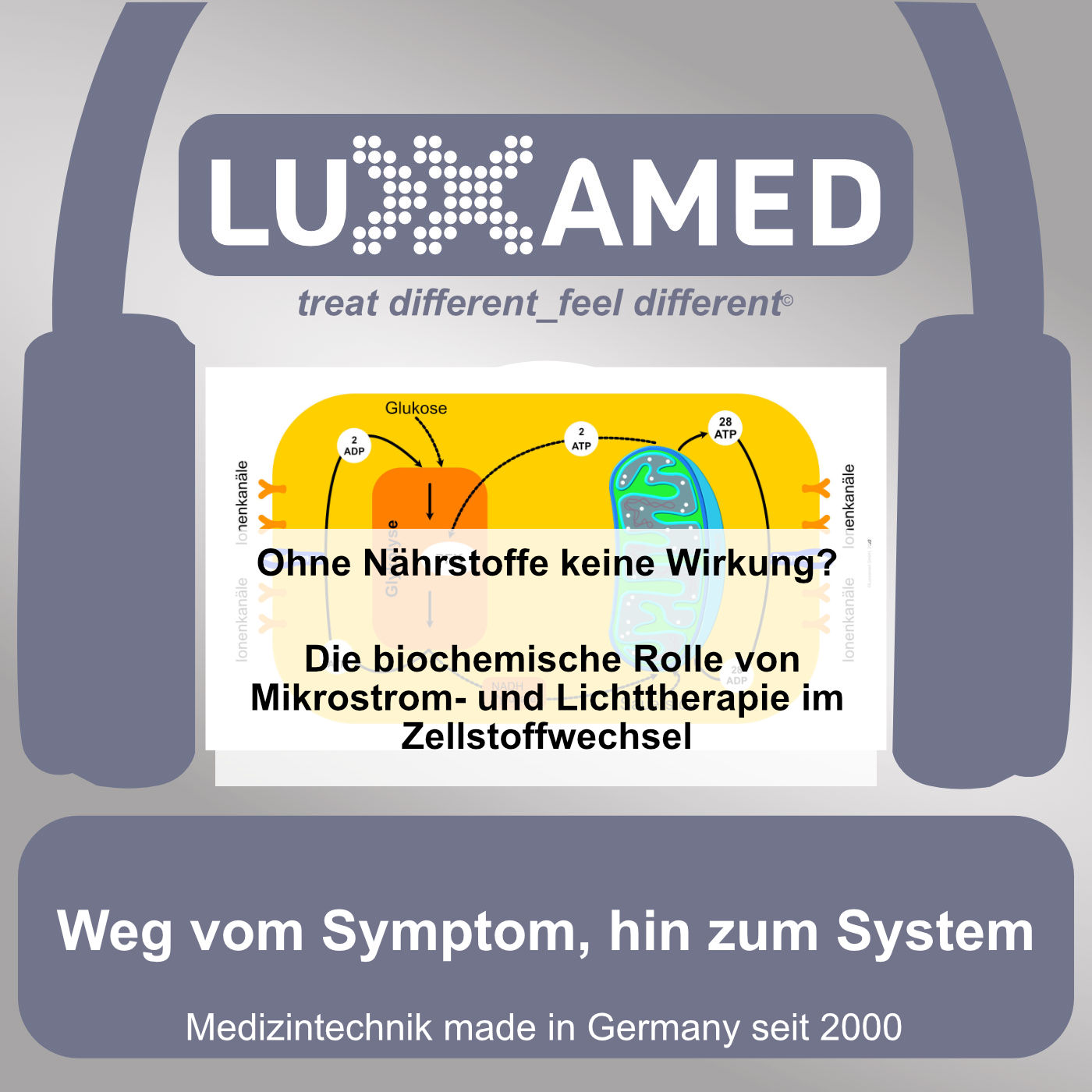 Ohne Nährstoffe keine Wirkung? – Die biochemische Rolle von Mikrostrom- und Lichttherapie im Zellstoffwechsel