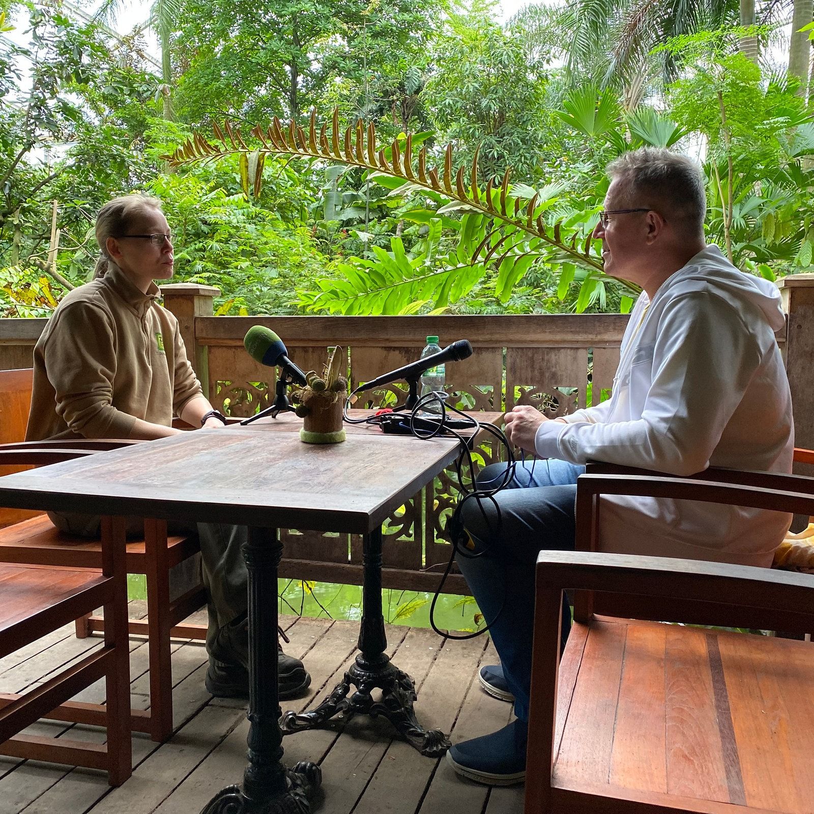 Okapi - Das Fabelwesen unter den Huftieren