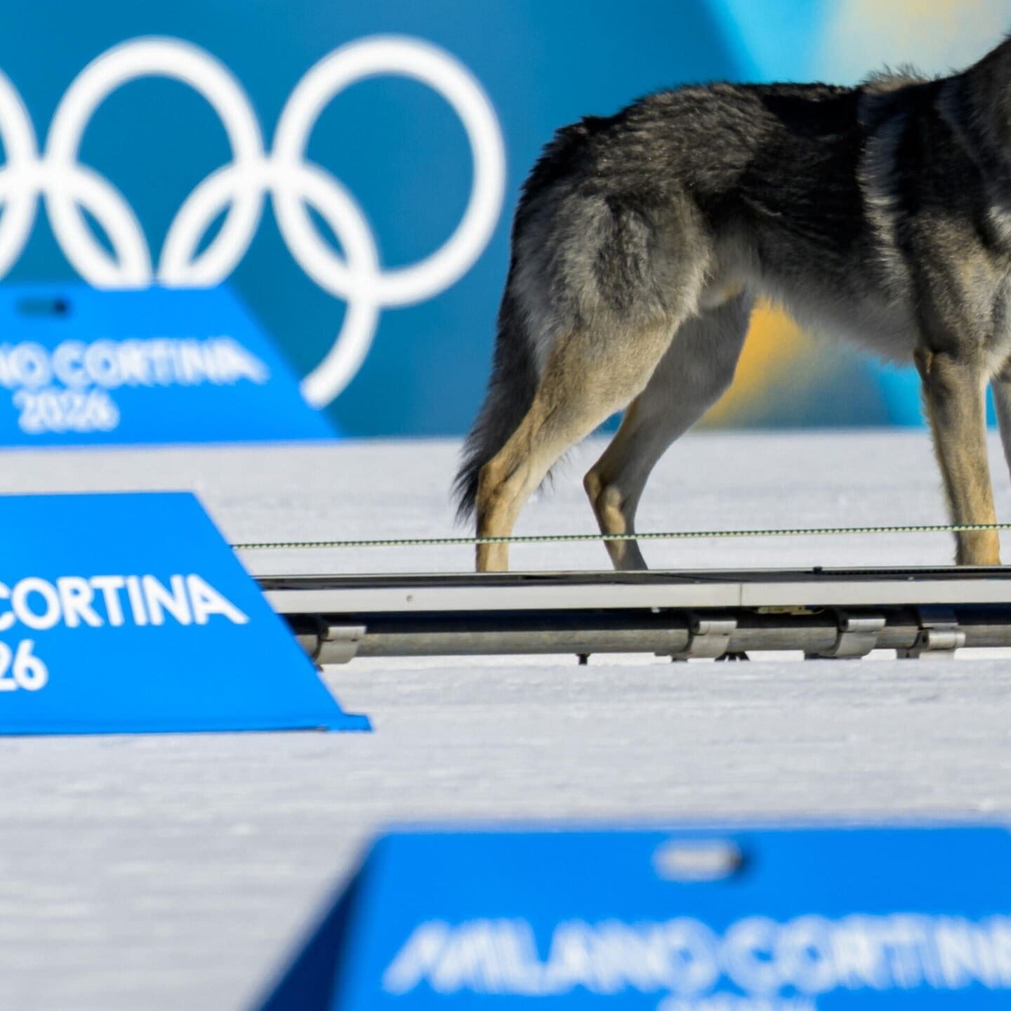 Olympia 2026 - Alles außer planmäßig