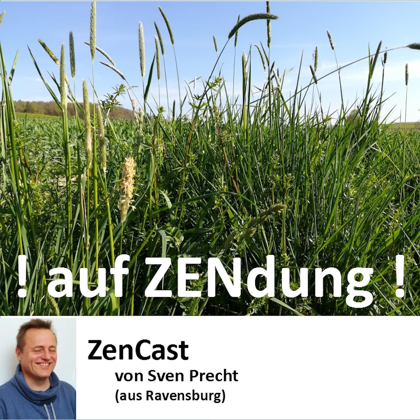 ! on ZENdung ! 013 (Worte - Leben - Freiheit)