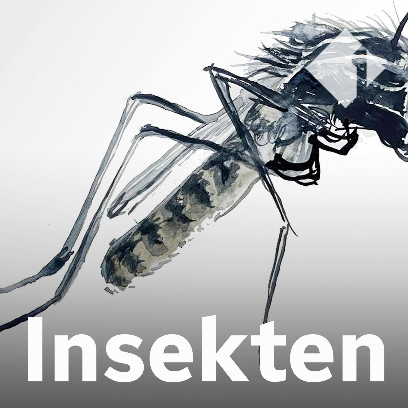 Orthopodomyia pulcripalpis