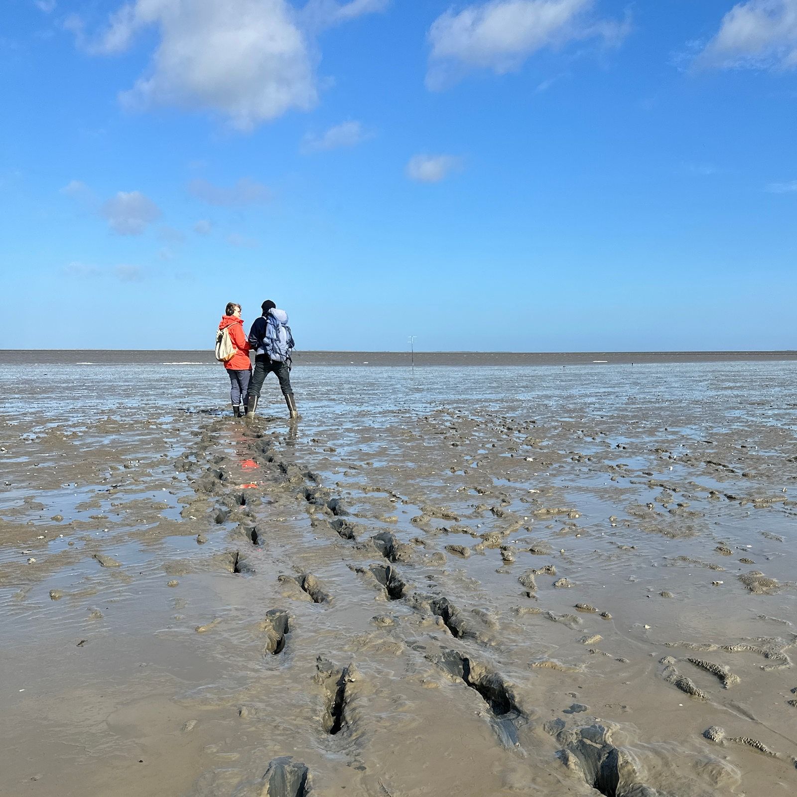 Ostfriesisches Wattenmeer | Wandern in den Weiten des Weltnaturerbes