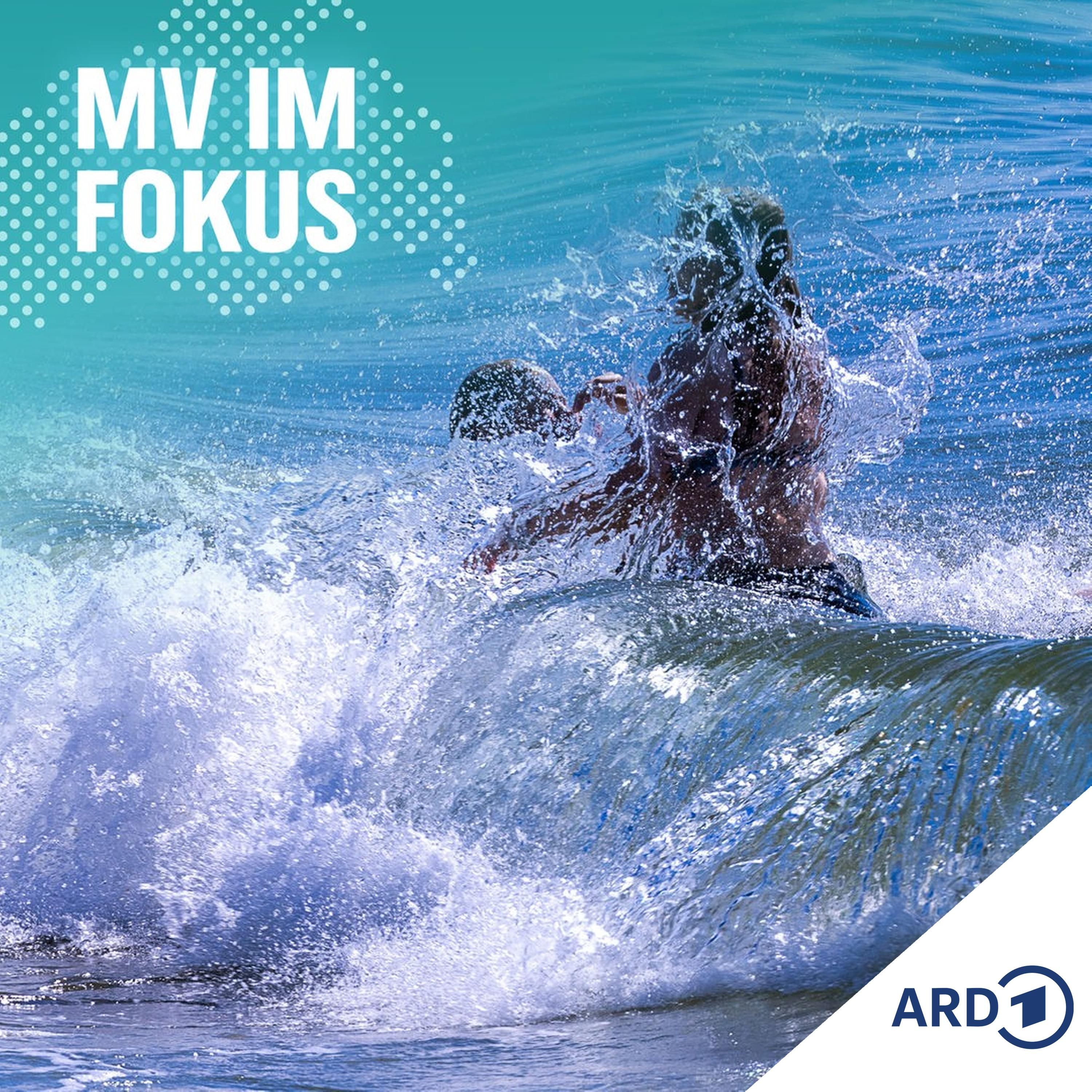 Ostsee-Badespaß trotz Feuerquallen, Algen und Vibrionen?