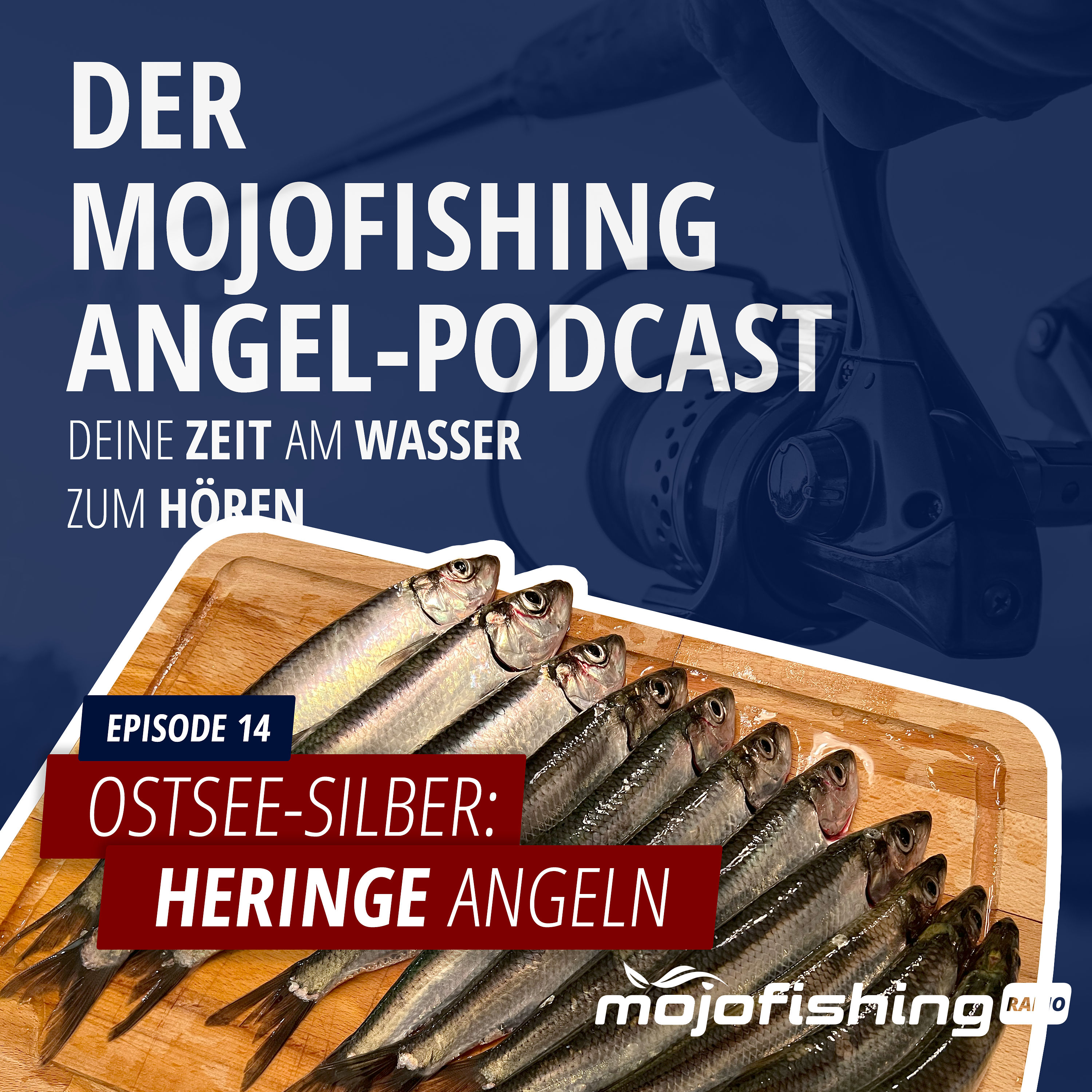 Ostsee-Silber: Heringe Angeln
