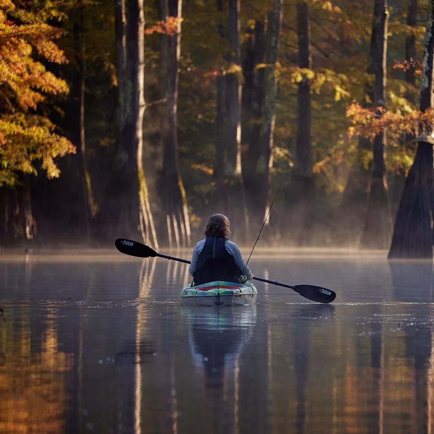 Outdoor-Aktivitäten in Tennessee – Naturerlebnisse im Herzen der USA