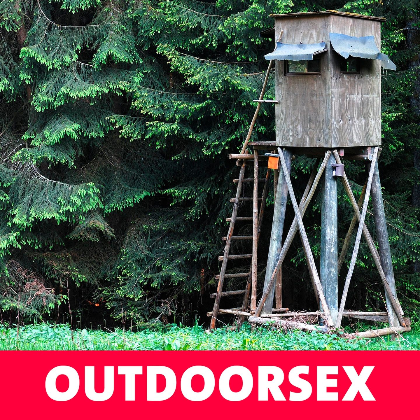 Outdoorsex – Erregung öffentlicher Erregung.