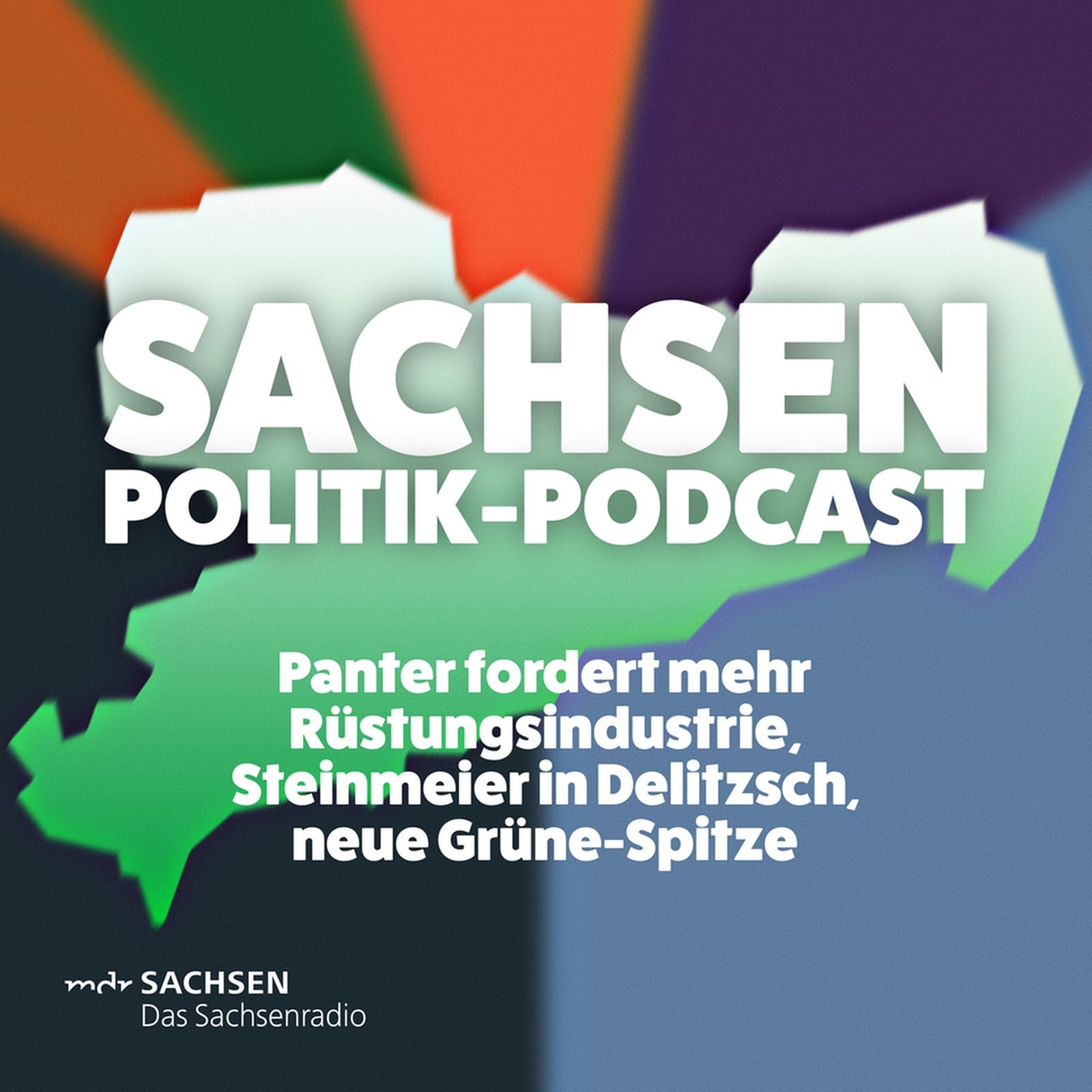 Panter fordert mehr Rüstungsindustrie, Steinmeier in Delitzsch, neue Grüne-Spitze