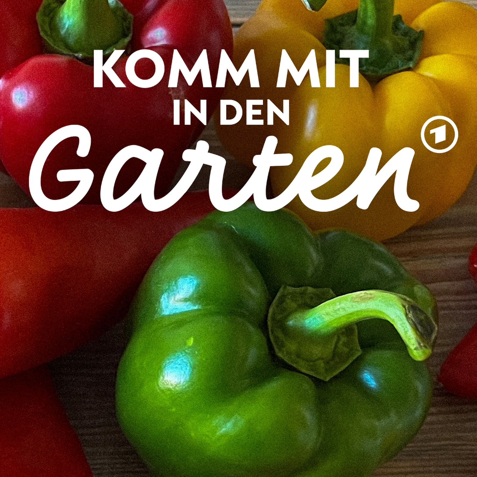 Paprika und Chili anbauen