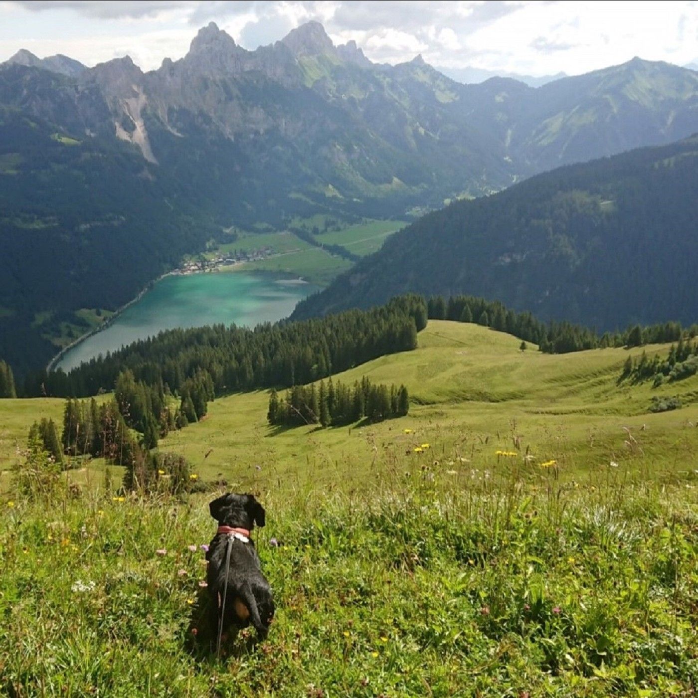 Pascal Altmayer über die schönsten Wandertouren für Mensch und Hund