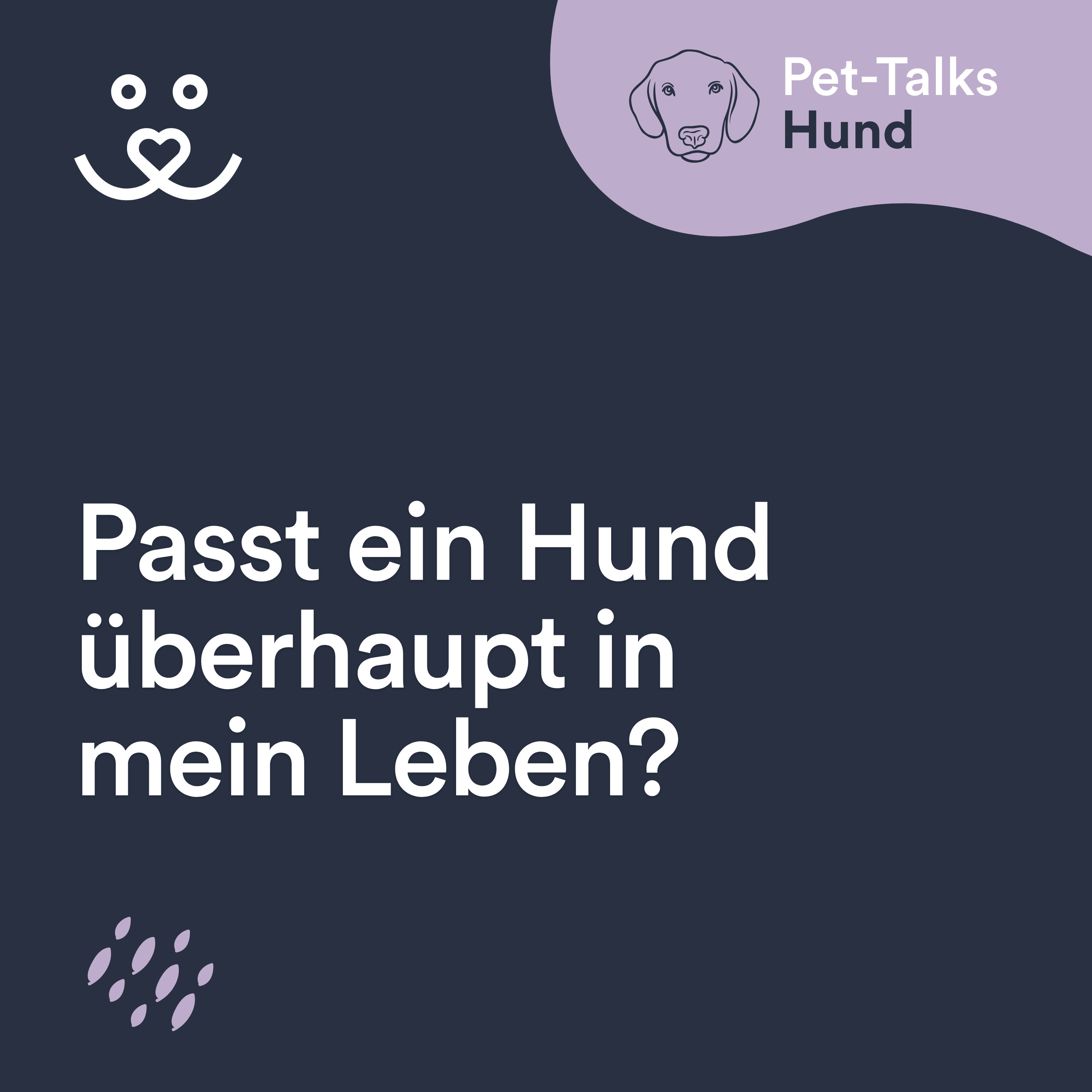 Passt ein Hund überhaupt in mein Leben?