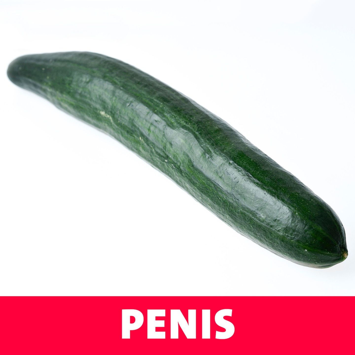 Penis – PENIS ... hihihi