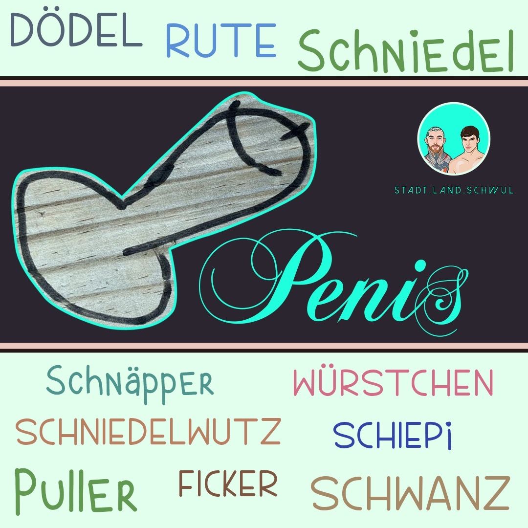Penis