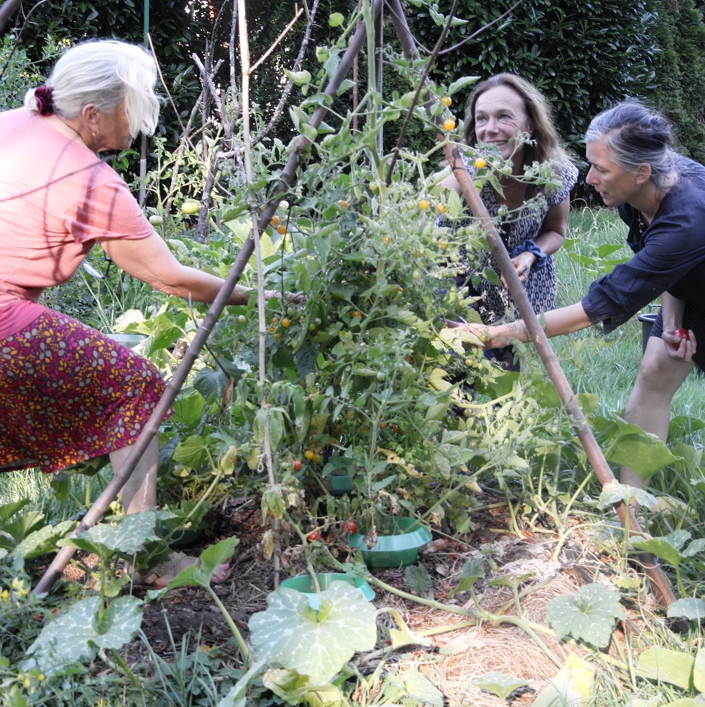 Permakultur im Gemeinschaftsgarten: Experimentieren, lernen und geniessen