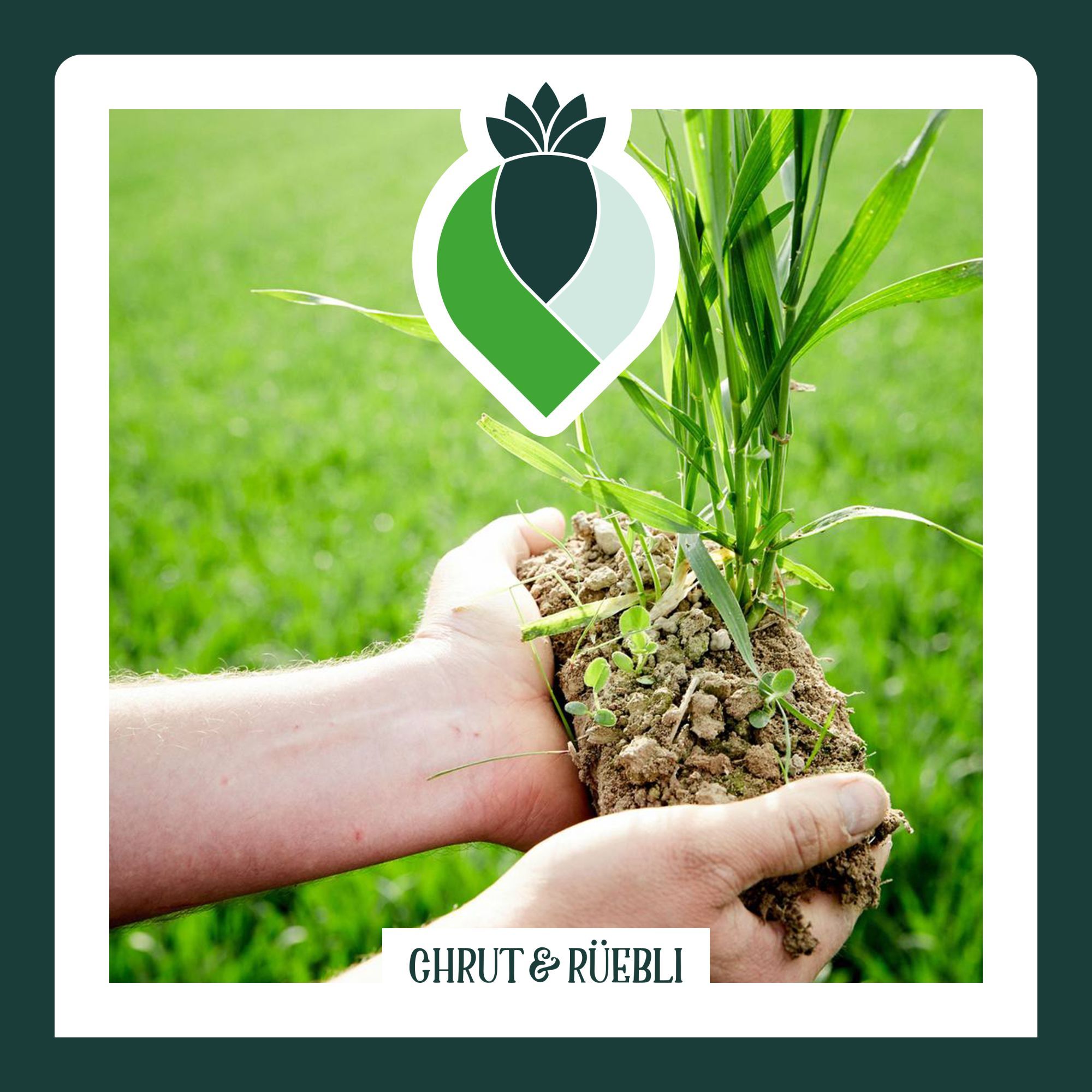 Pestizide: Geht das auch ohne?