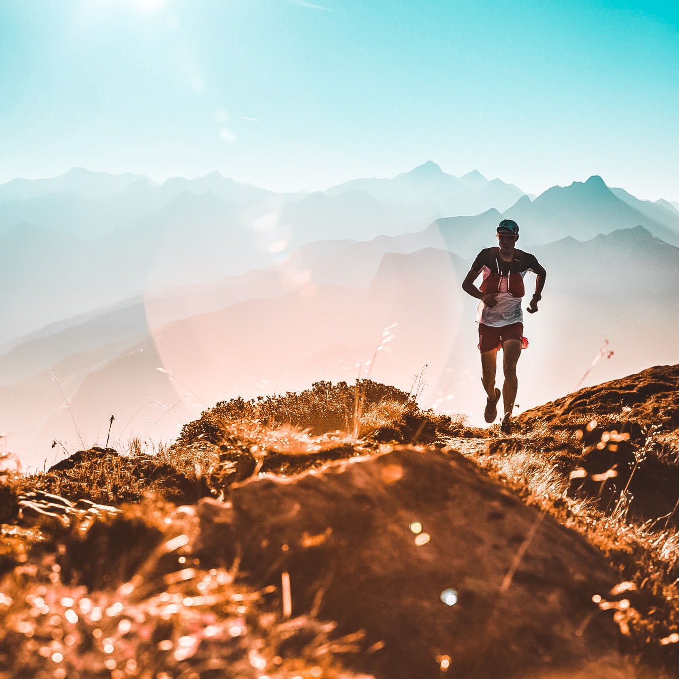 Peter Fankhauser: Die Hometrails im Hügelgarten