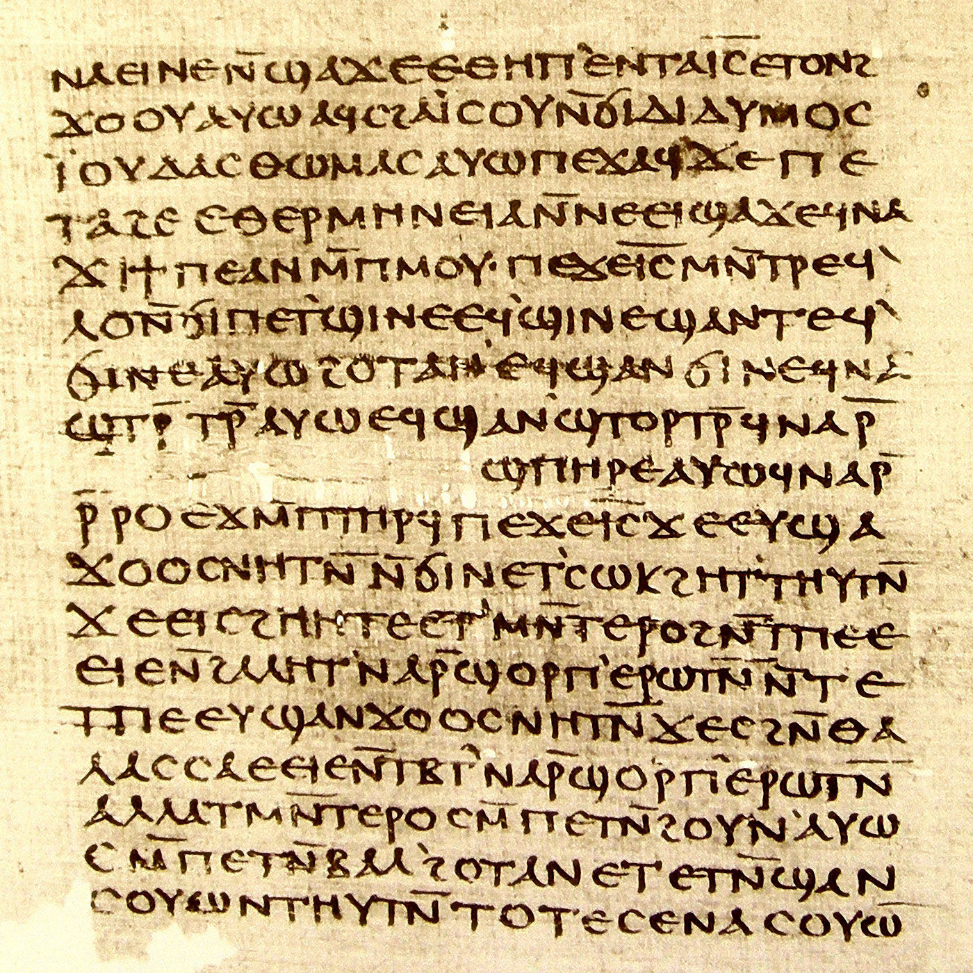 Pfade zur Glückseligkeit - Entdeckungen im Thomasevangelium