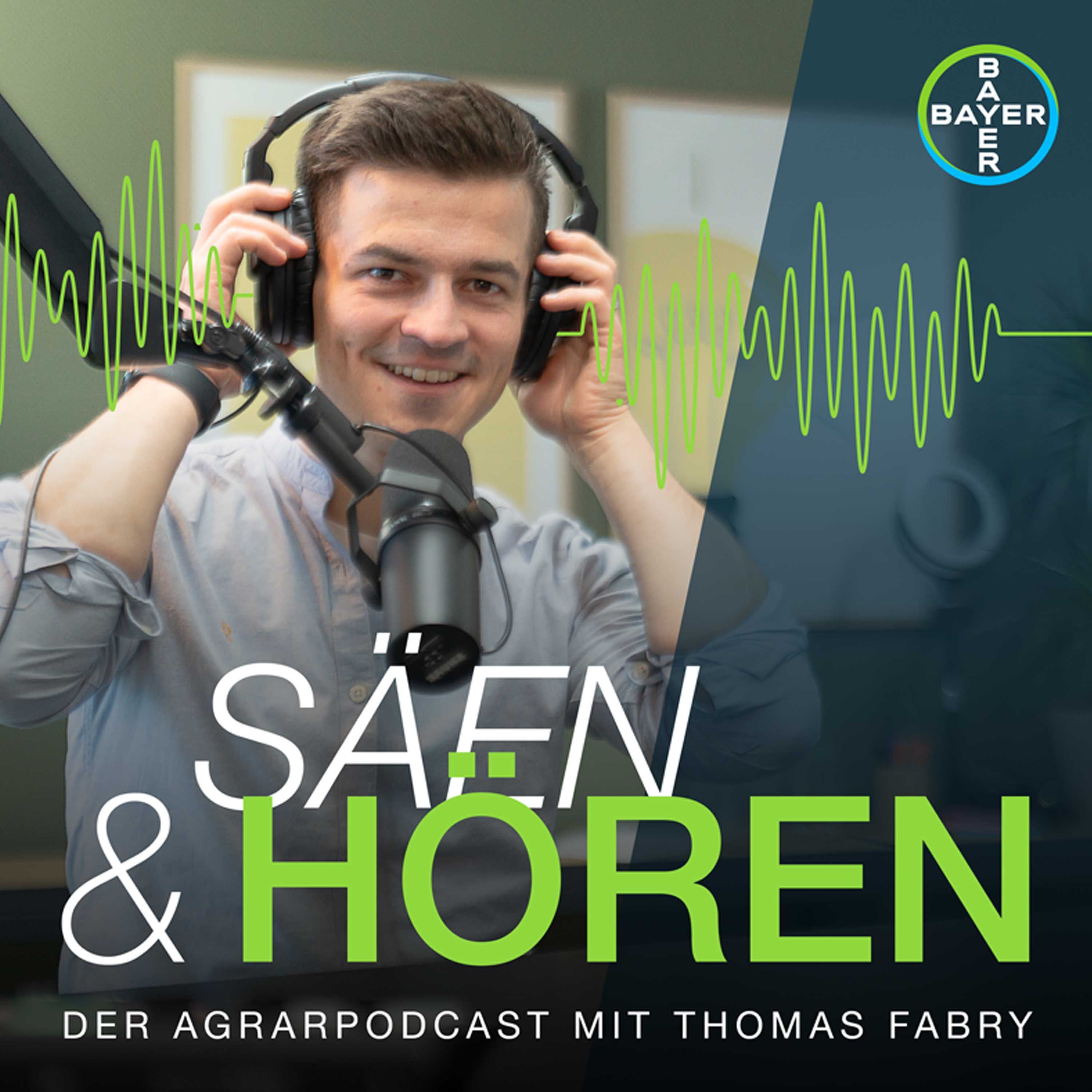 Pflanzenzüchtung – Wie neue Rapssorten entstehen