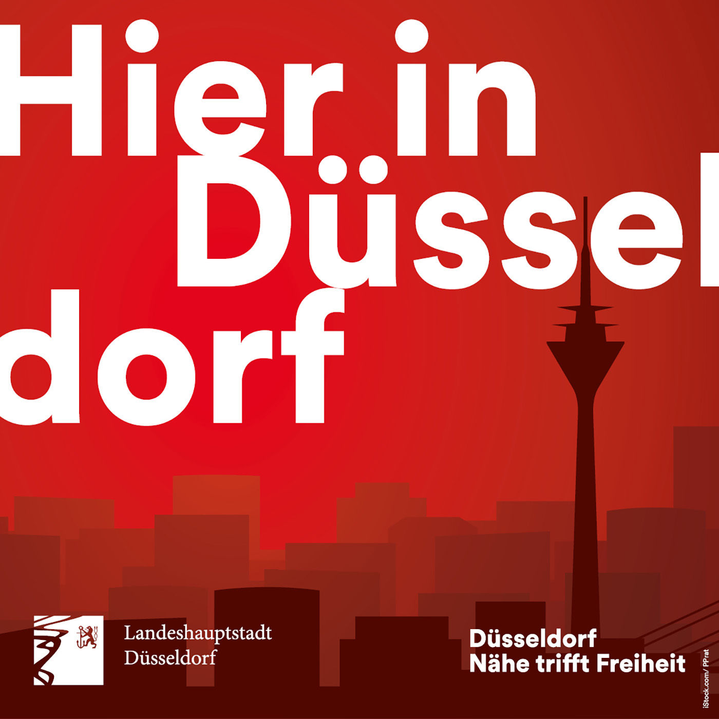 Pflegefamilien gesucht