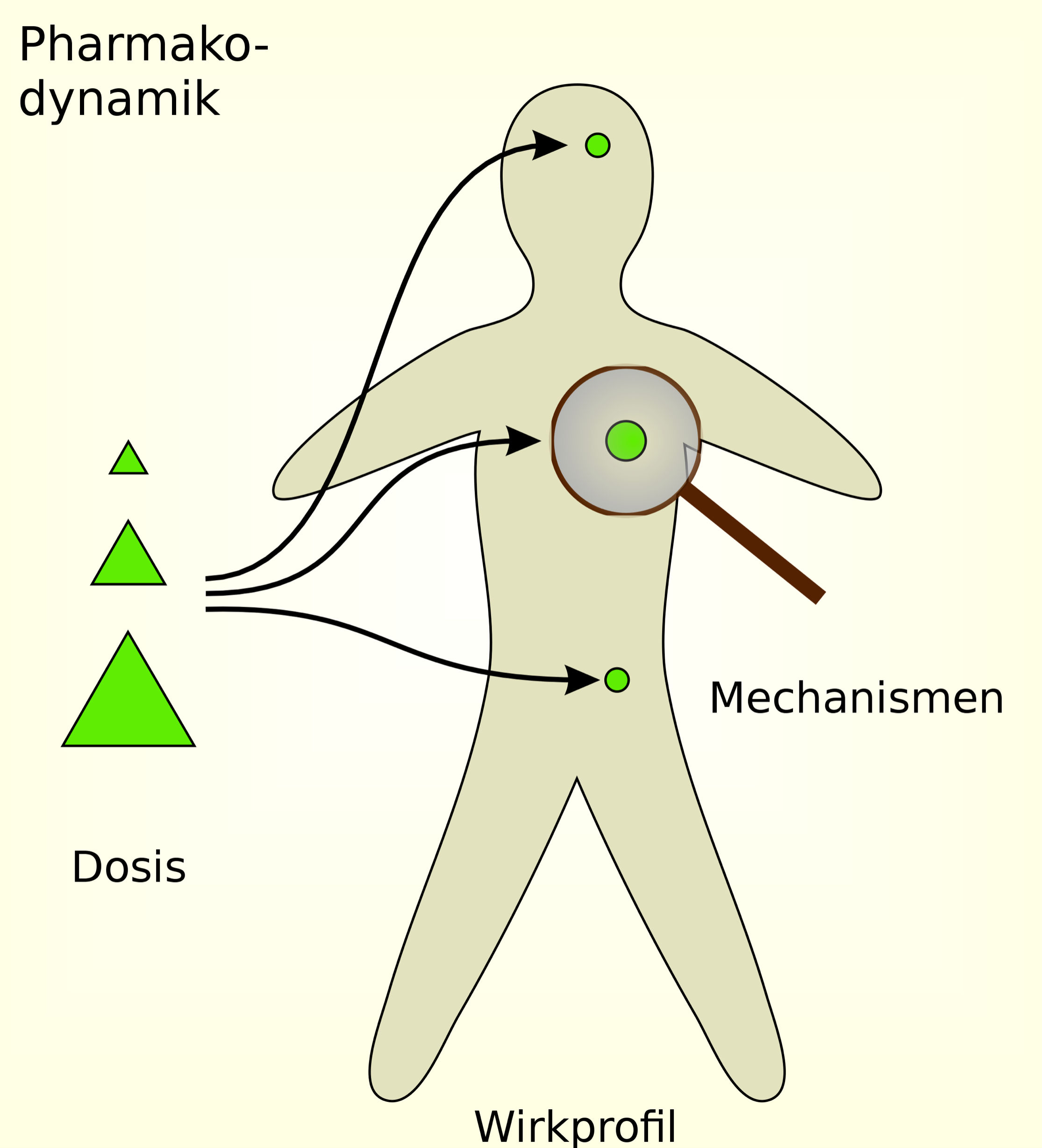 Pharmakodynamik