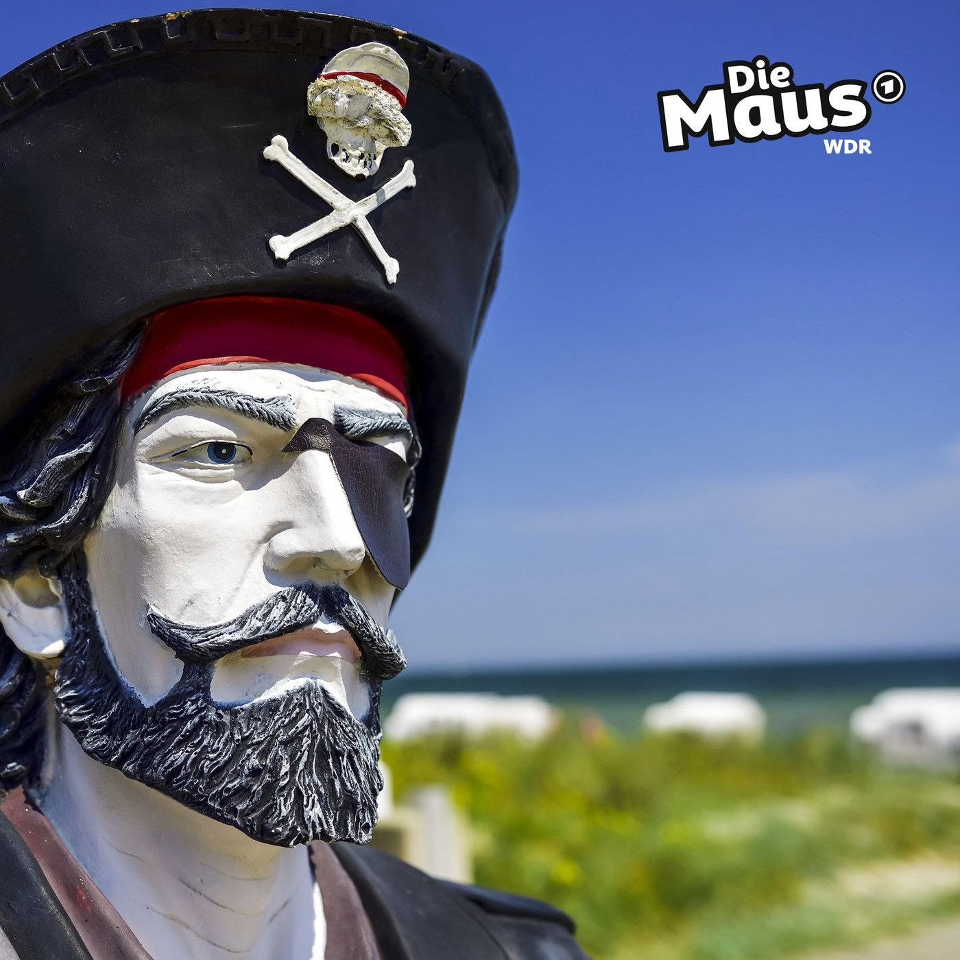 Pirat zur Mitreise gesucht