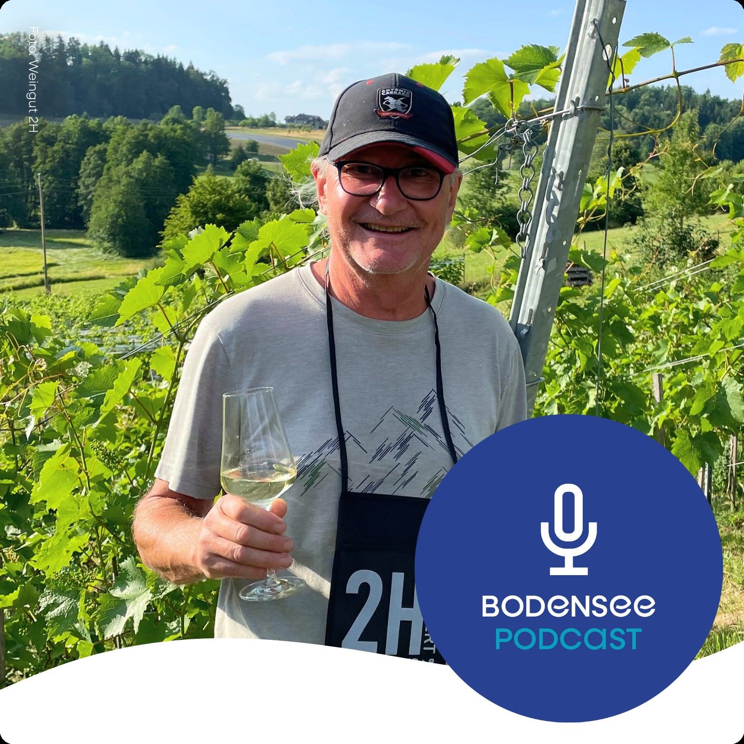 PIWI-Weine am Bodensee