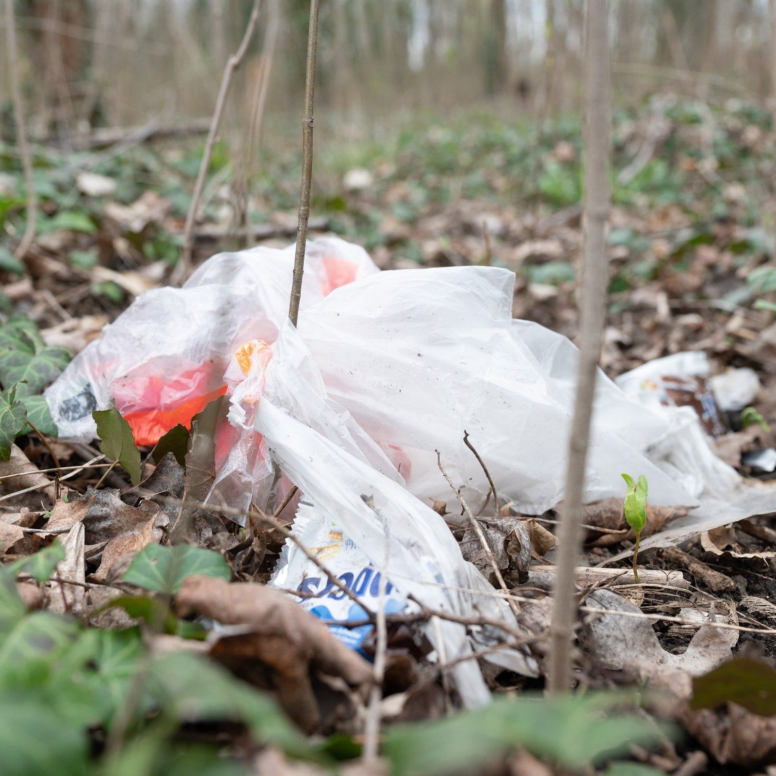 Plastiktütenverbot im Handel reicht nicht aus