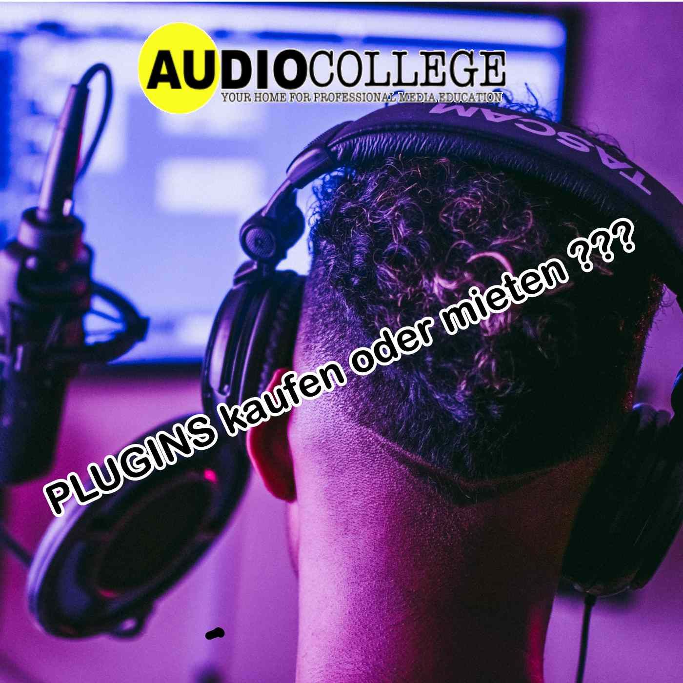 Plugins kaufen oder mieten???