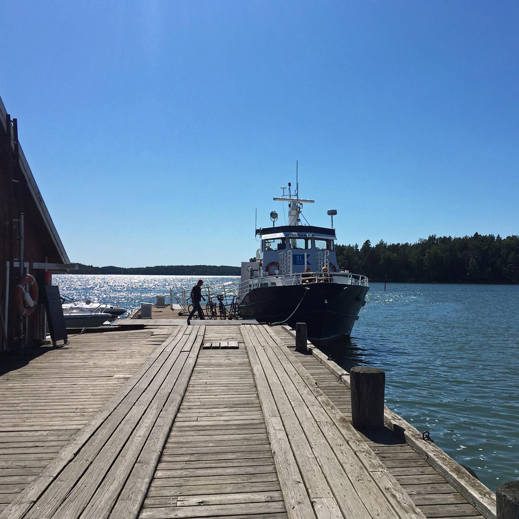 Einsame Inseln: Grüne Meeresschildkröten im Bijaos-Archipel | Seili in Finnland | Dirk Rohrbach auf dem Great Calusa Blueway