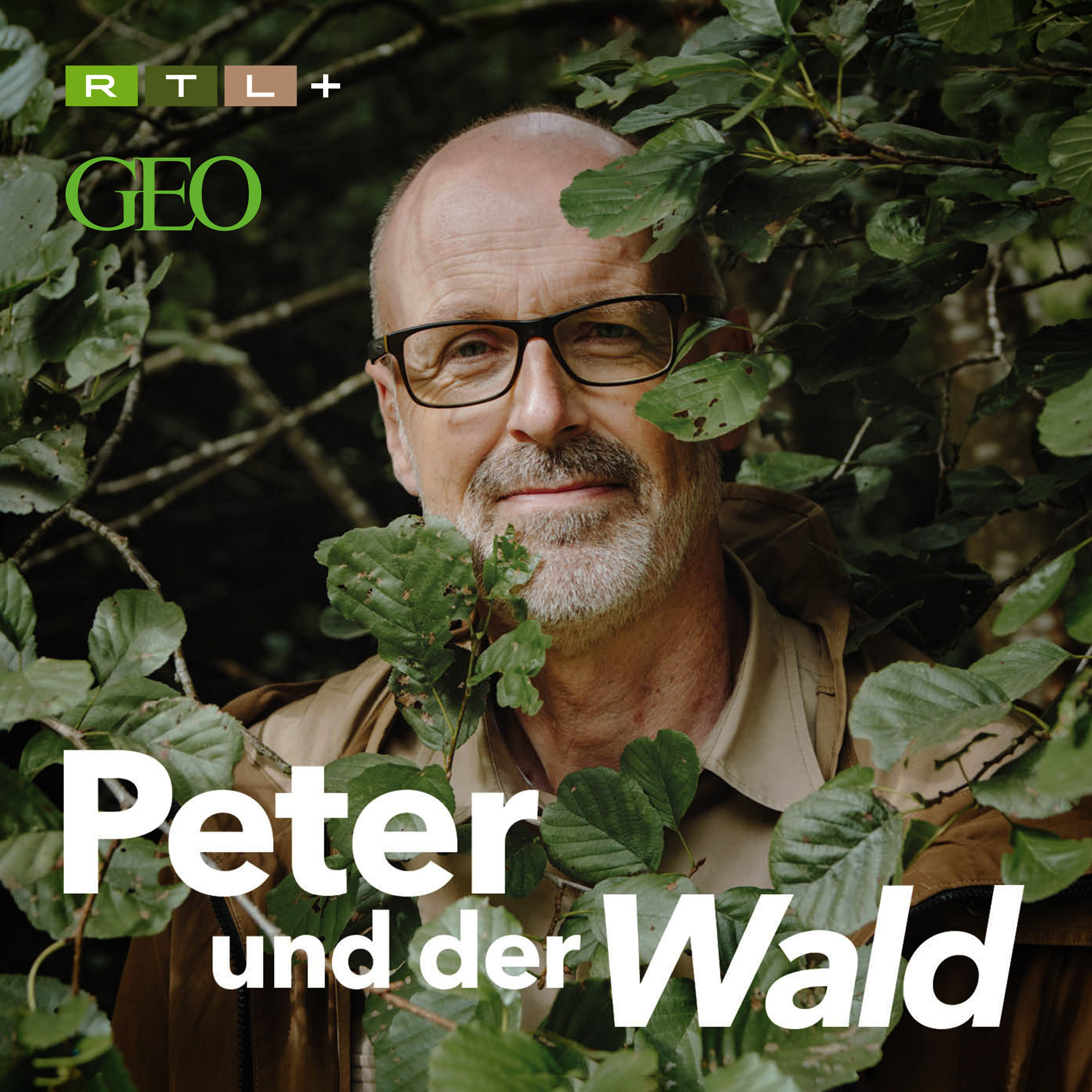 Podcast-Tipp: Peter und der Wald