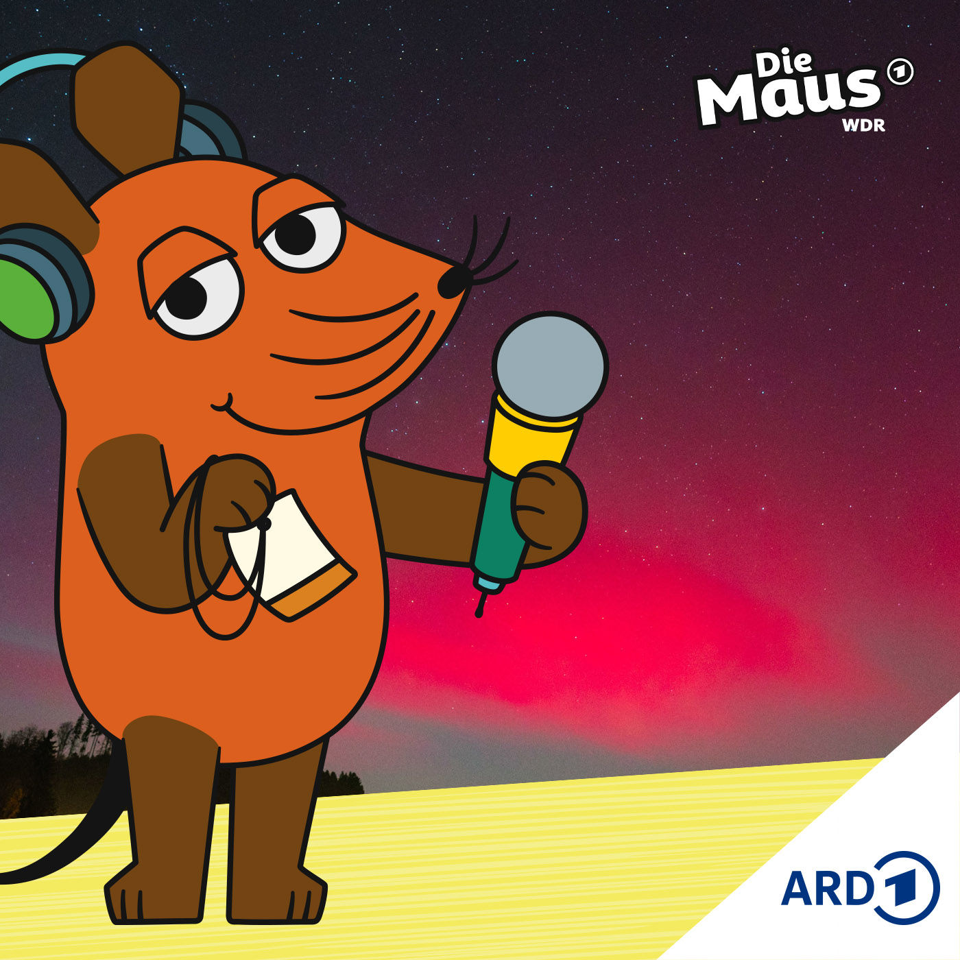 Polarlichter leuchten über Deutschland