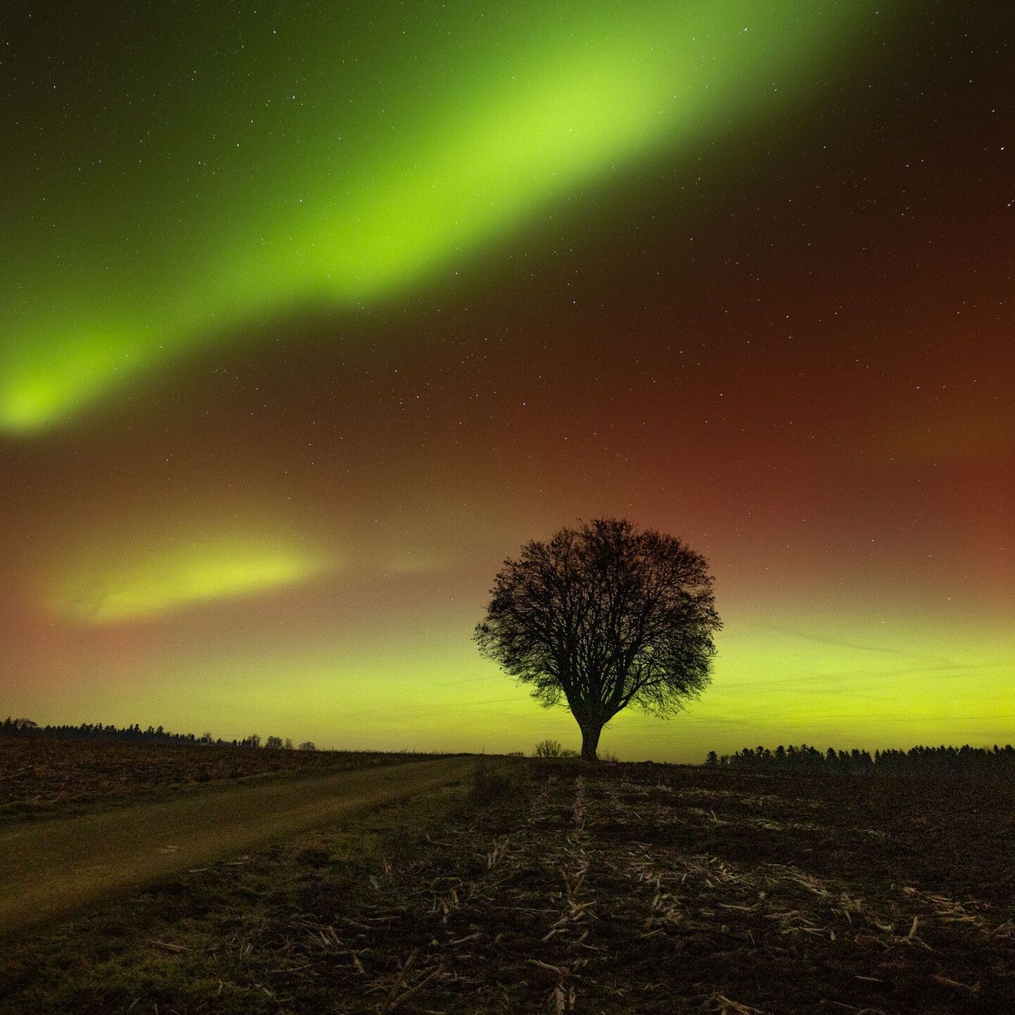 Polarlichter über Deutschland
