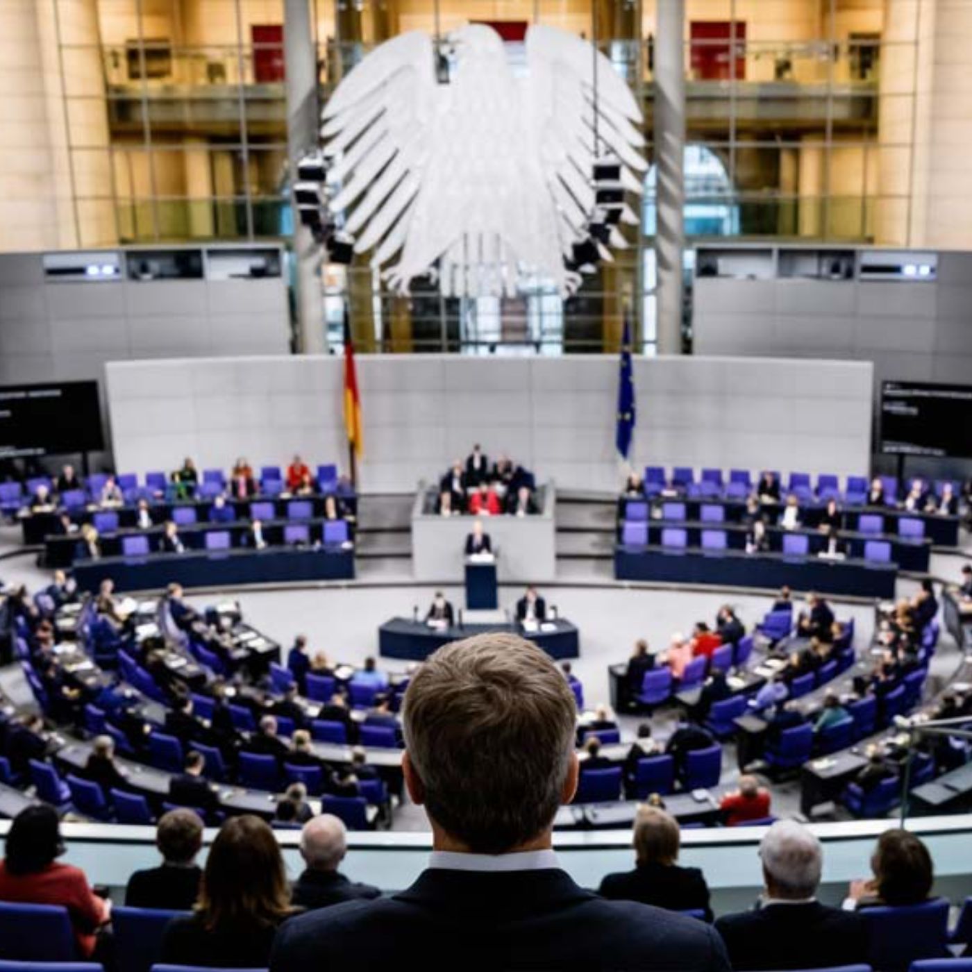 Politik | Neues Cannabis Gesetz? | Erste Lesung | Bundestag | Nina Warken | Matthias David Mieves