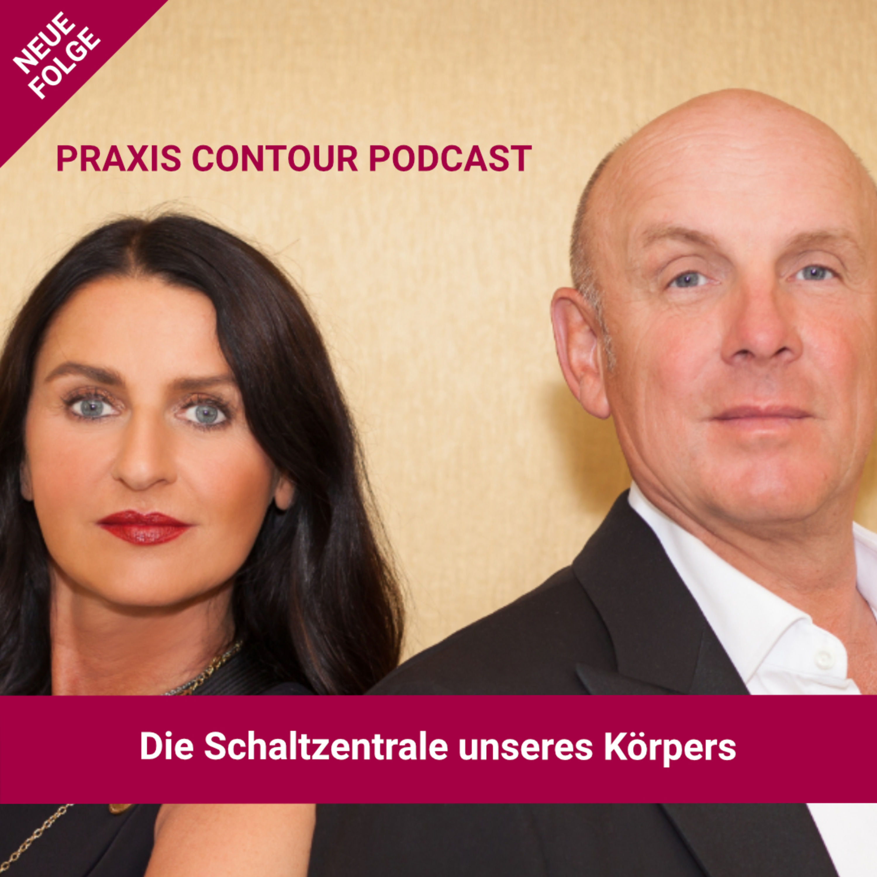 Praxis Contour Podcast: Die Schaltzentrale unseres Körpers