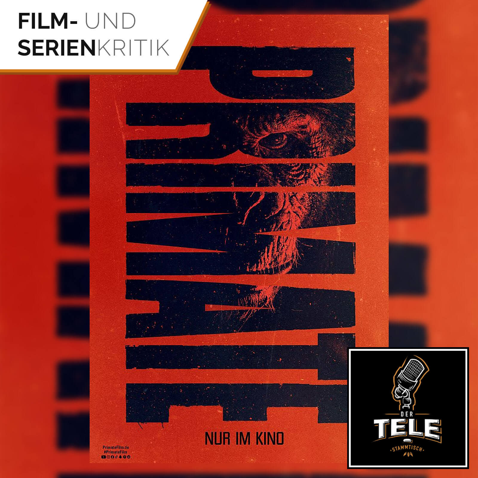 Primate | Brutaler Affen-Horror an Hawaiis Klippen – lohnt sich der Kinostart für Genre-Fans?